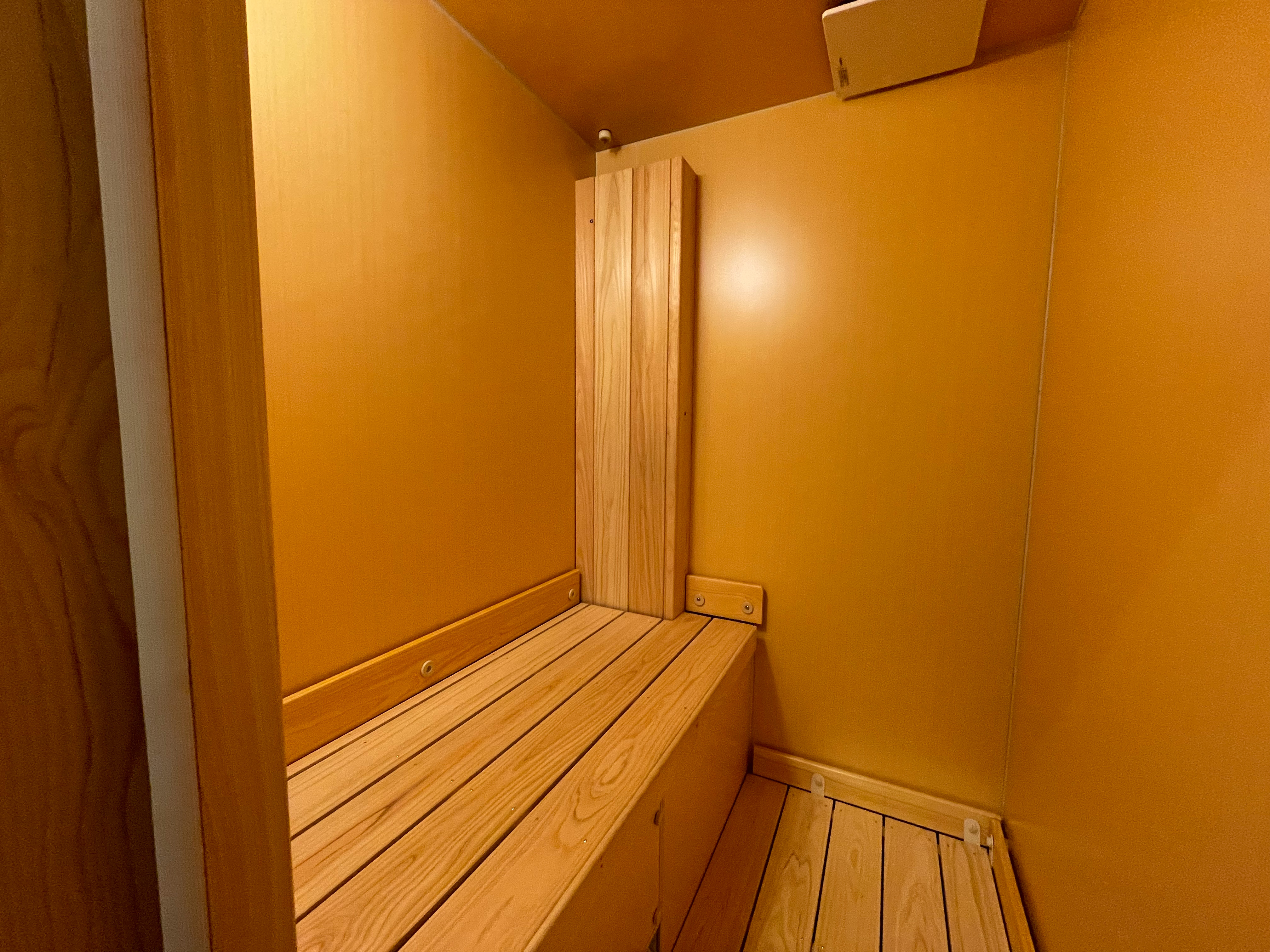 ナノミストサウナ