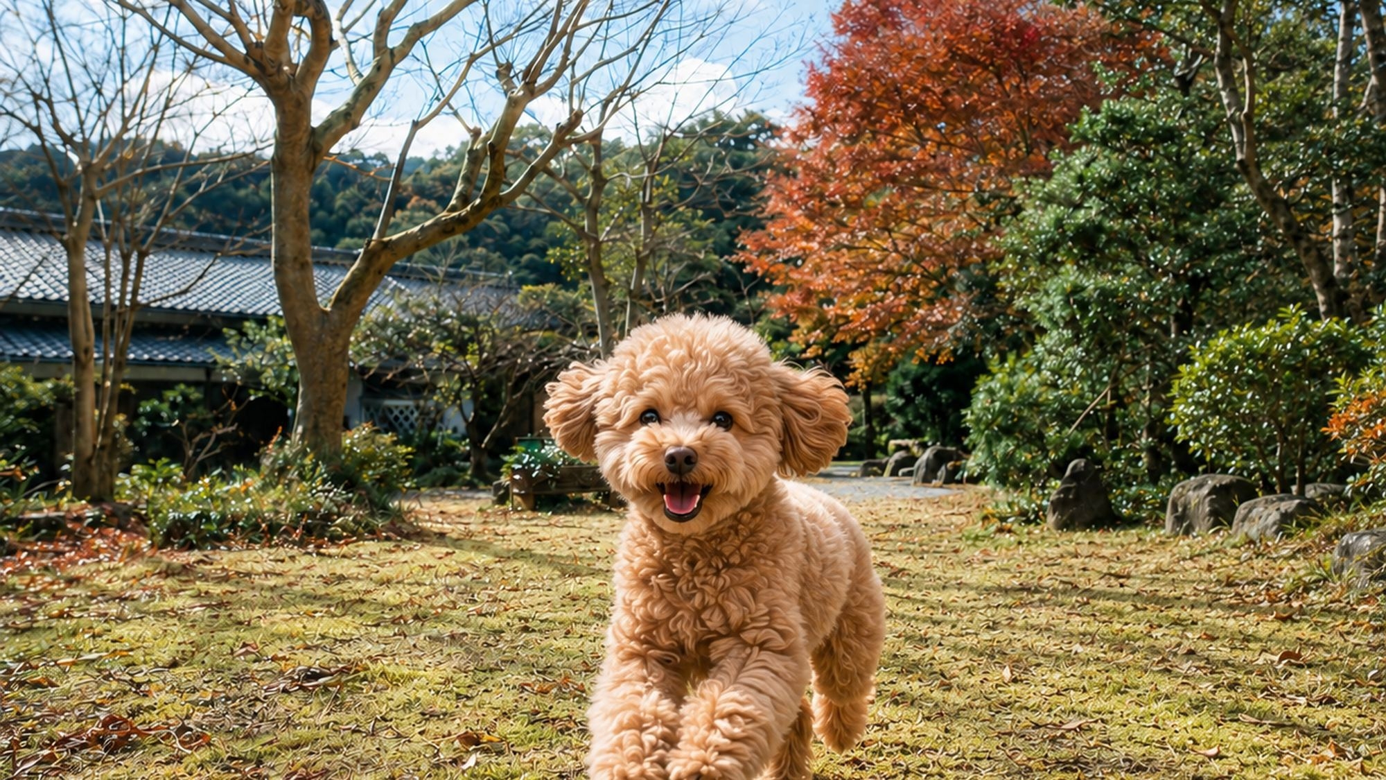 【ペット可】愛犬と泊まる半露天風呂付き一棟貸し｜広々とした日本庭園と江戸の趣を満喫