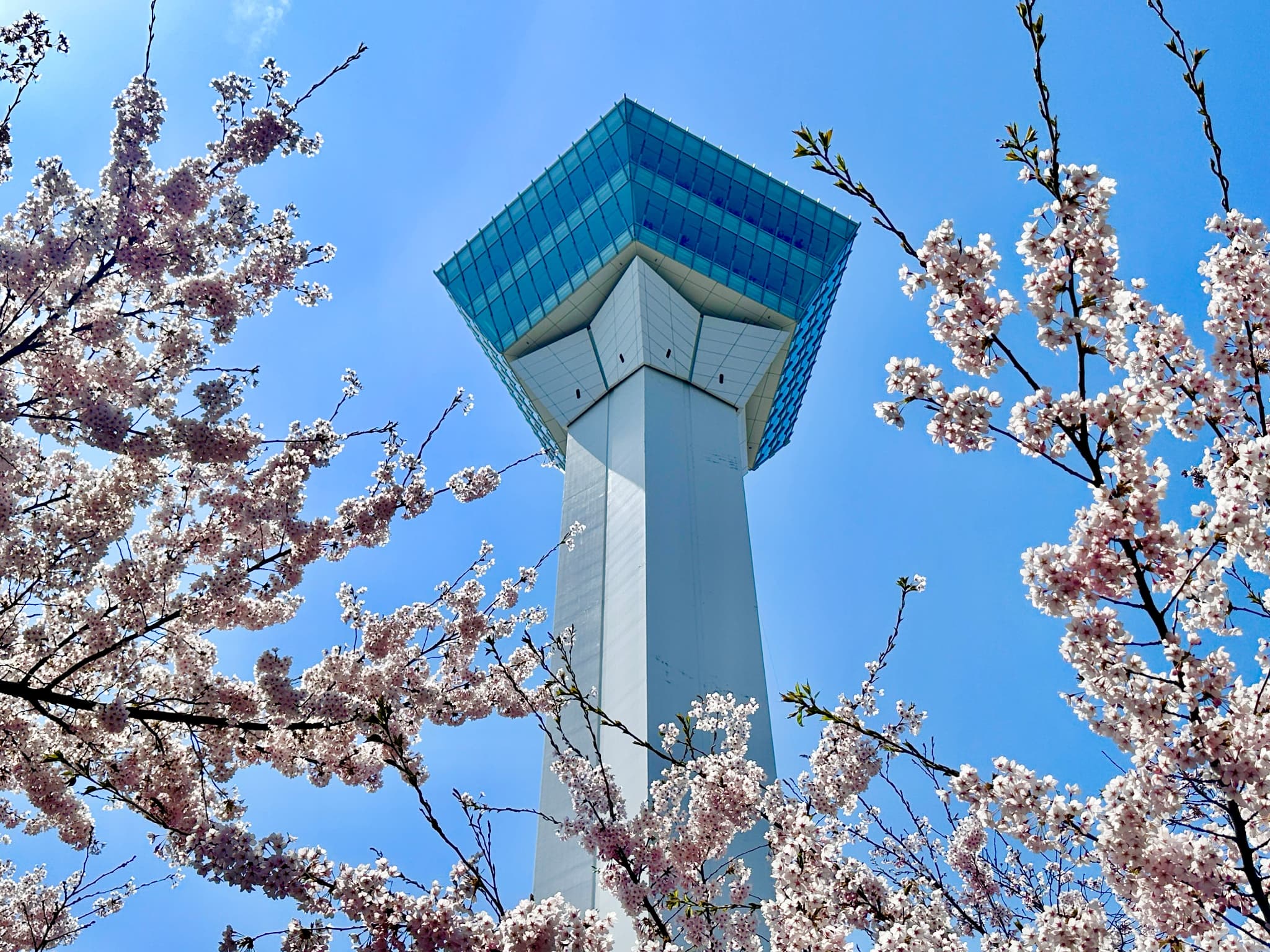 【観光情報】五稜郭タワー