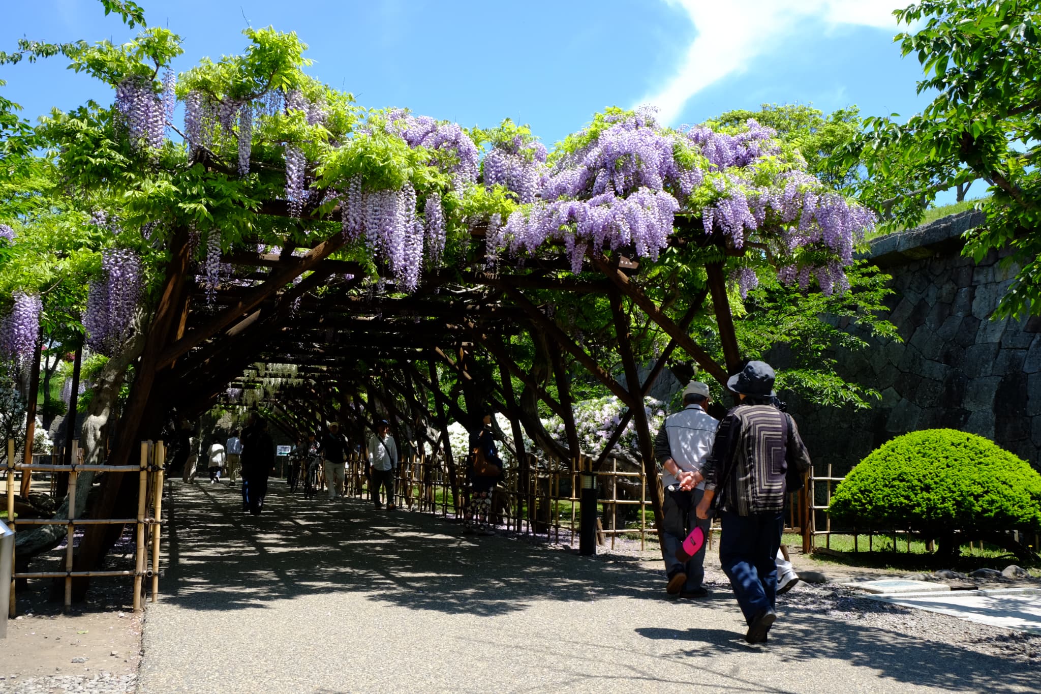 【観光情報】五稜郭公園