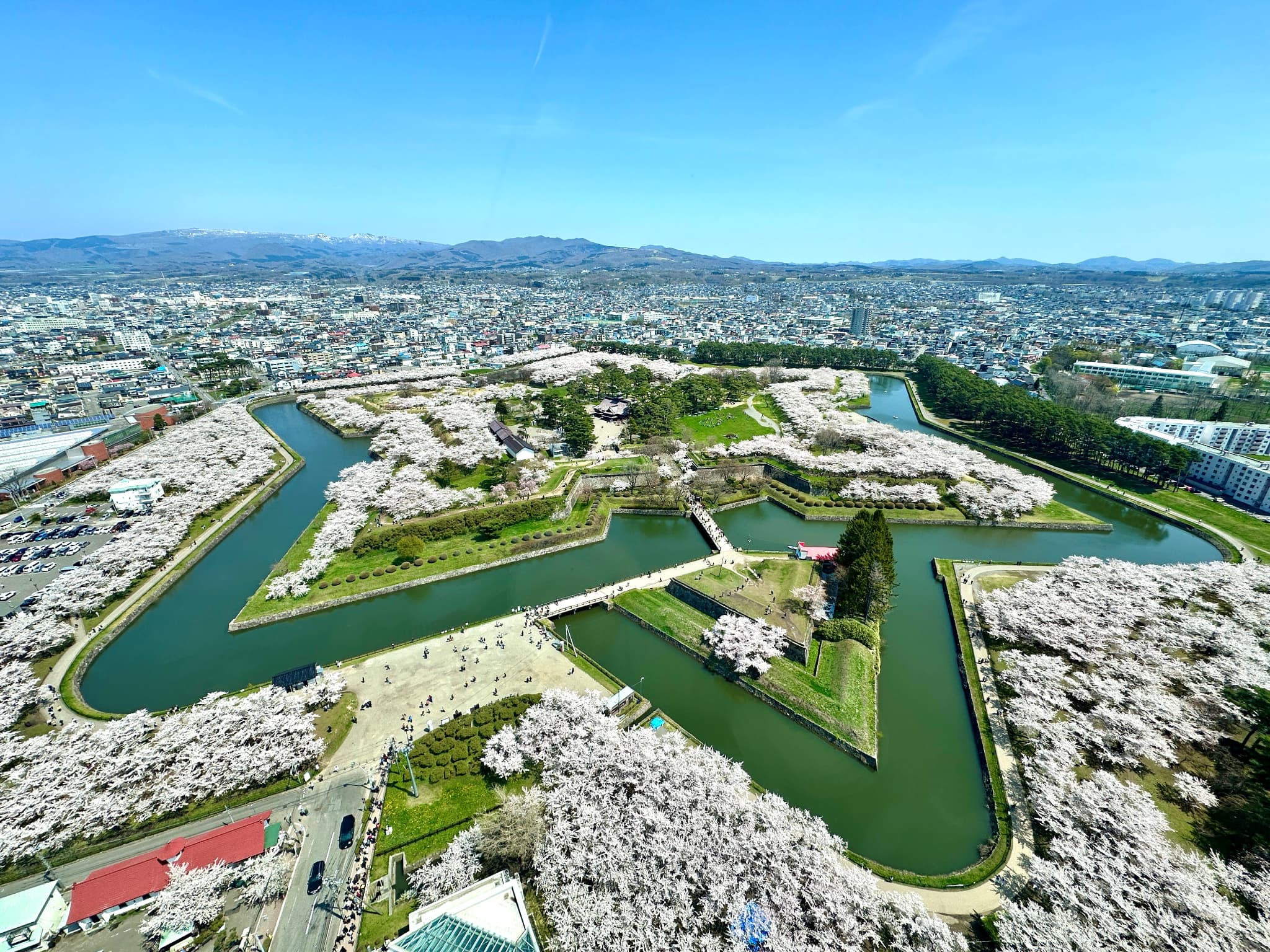 【観光情報】五稜郭（春）