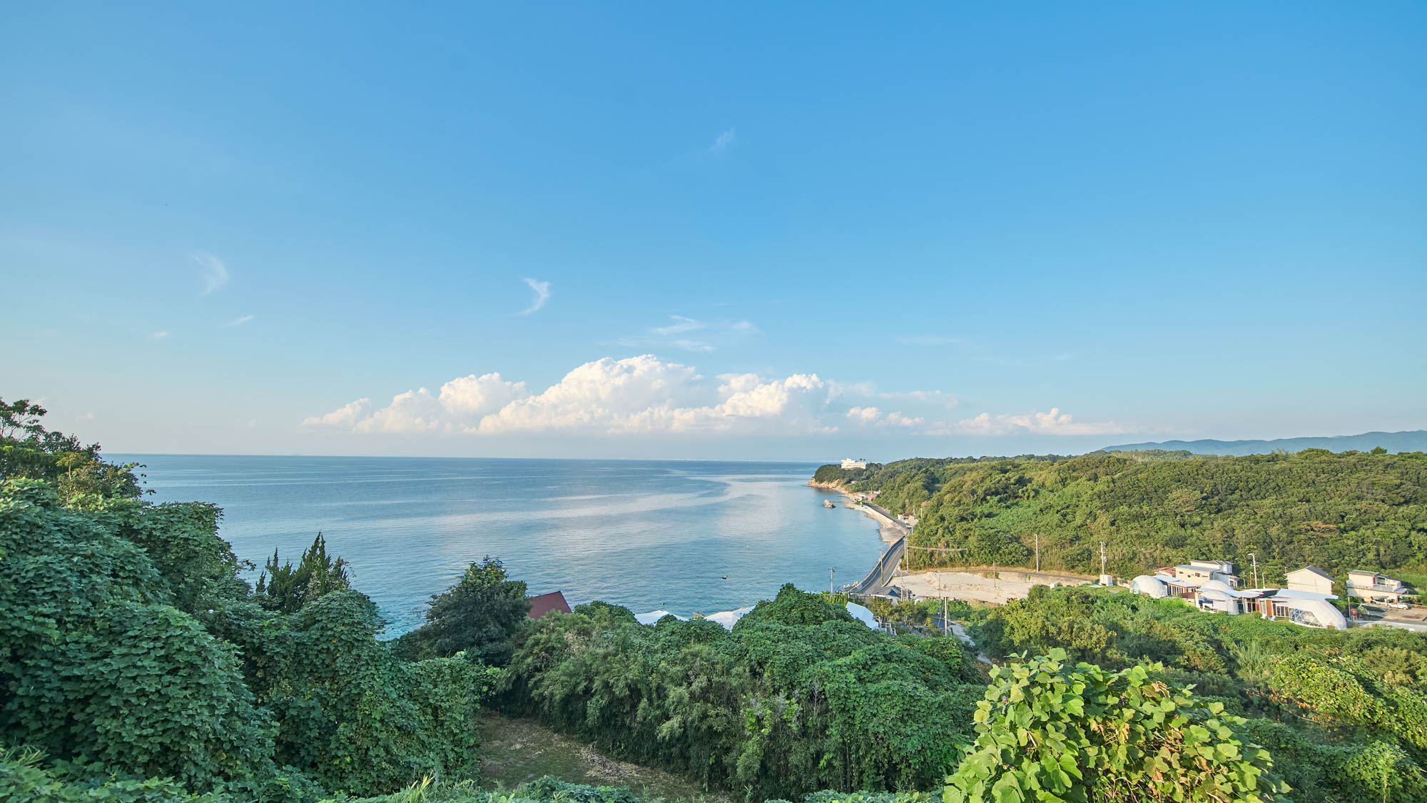 オーシャンビュー