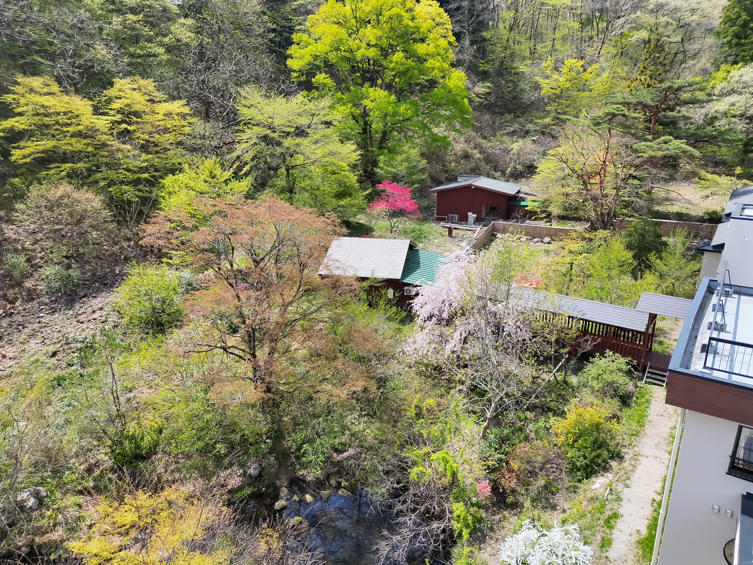 全景