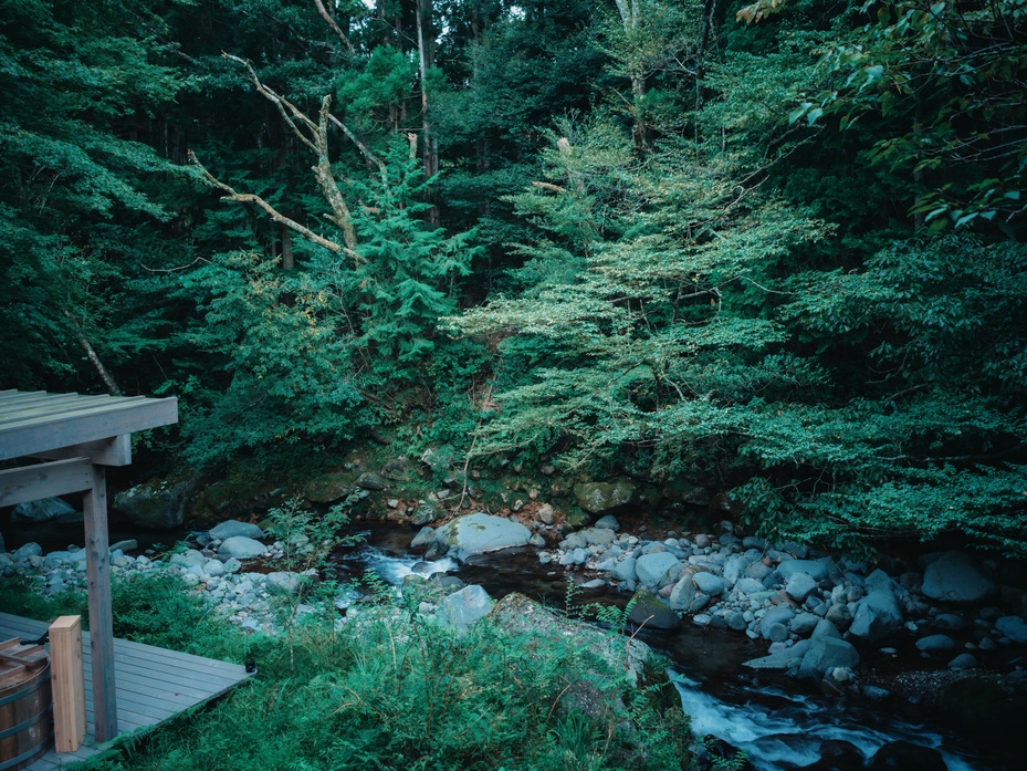 【SUGI専用プラン】自然豊かな山奥のトレーラーハウス。オールインクルーシブプランです♪【素泊まり】
