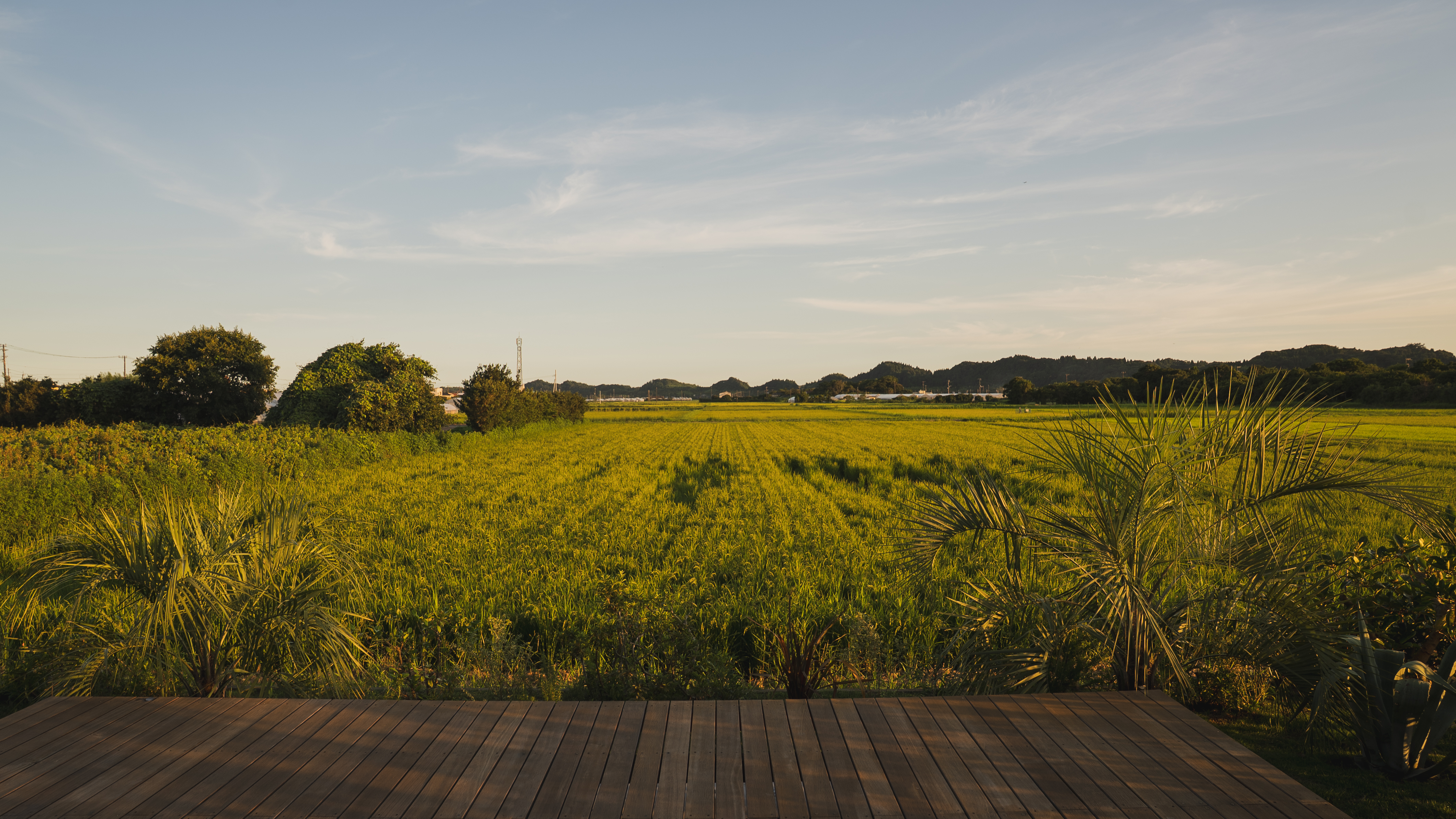 デッキ（夕方）