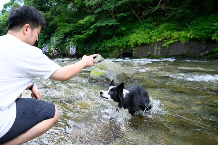 【ペット2頭まで同料金】わんちゃんと泊まれる別館オープン！（素泊まり）