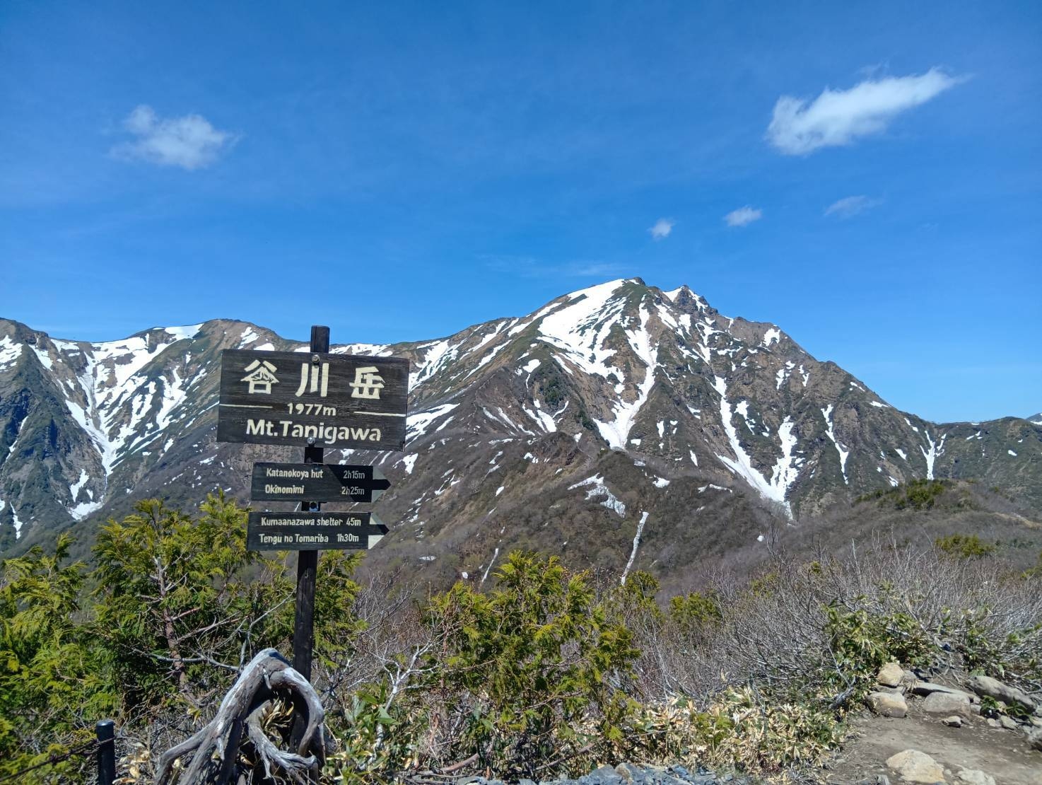 【谷川岳ヨッホチケット付】絶景散策と薬師の湯を楽しむ温泉旅（素泊まり）