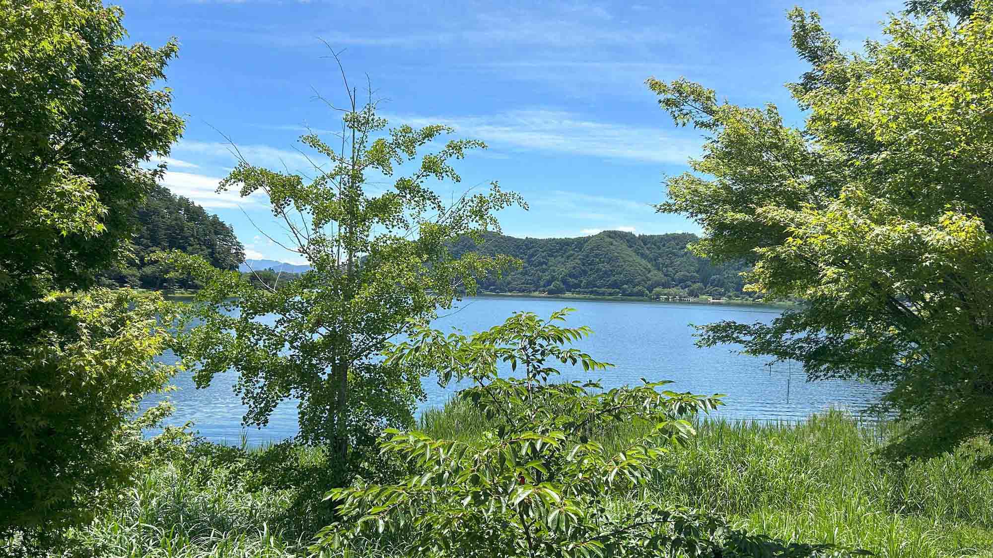 ・【景観】緑豊かな森に囲まれ、心安らぐ河口湖ステイをお過ごしください