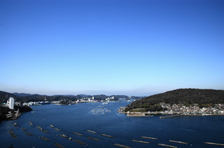 客室からの眺め