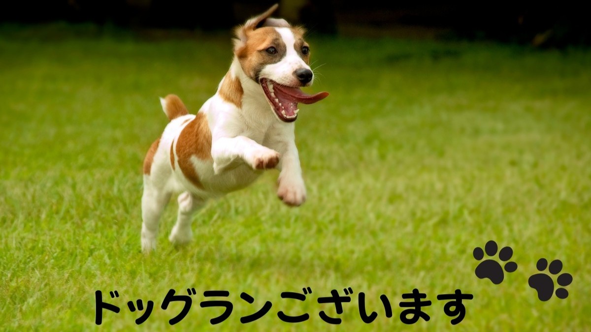 ドッグランございます♪