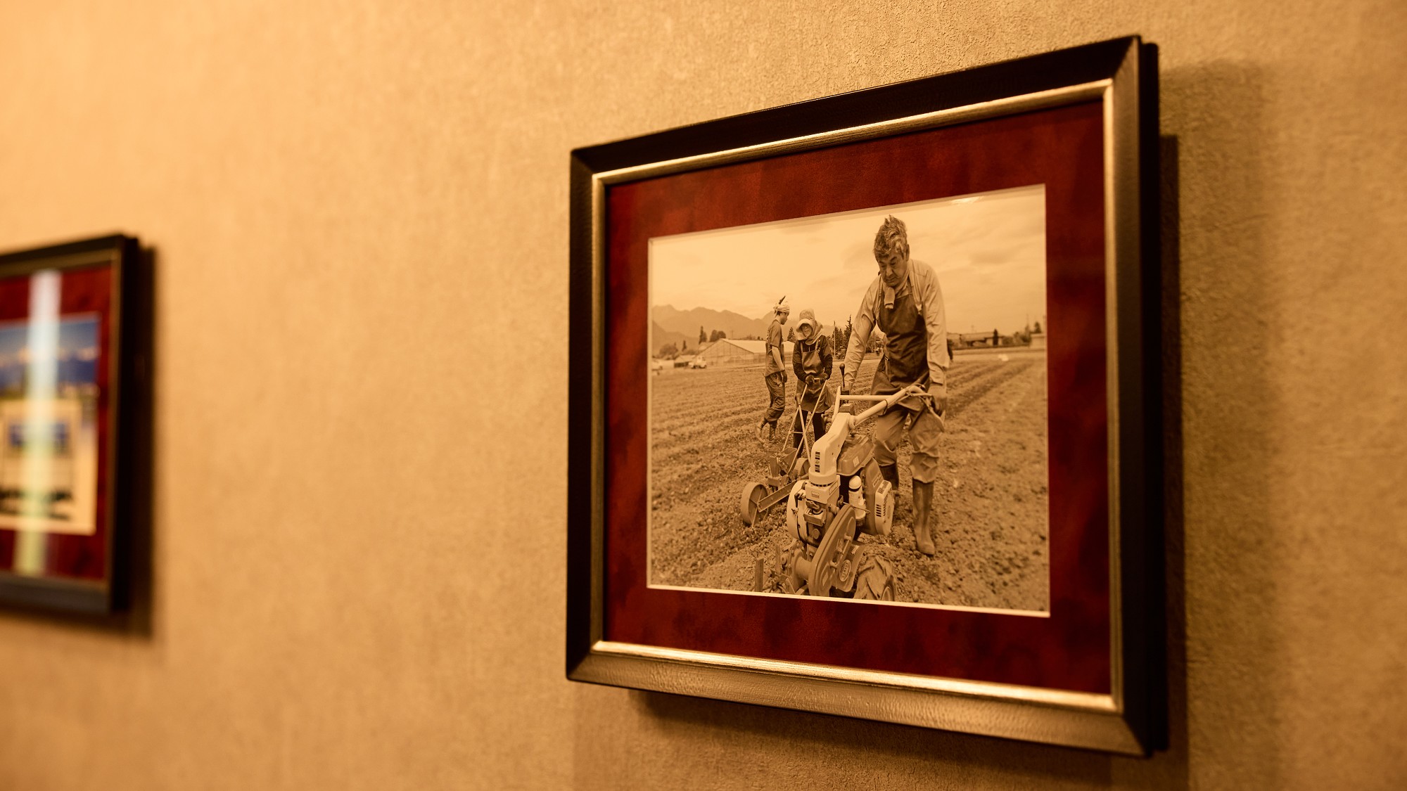 アートの街・安曇野。greenbellの空間も、まるで小さなギャラリーのよう。