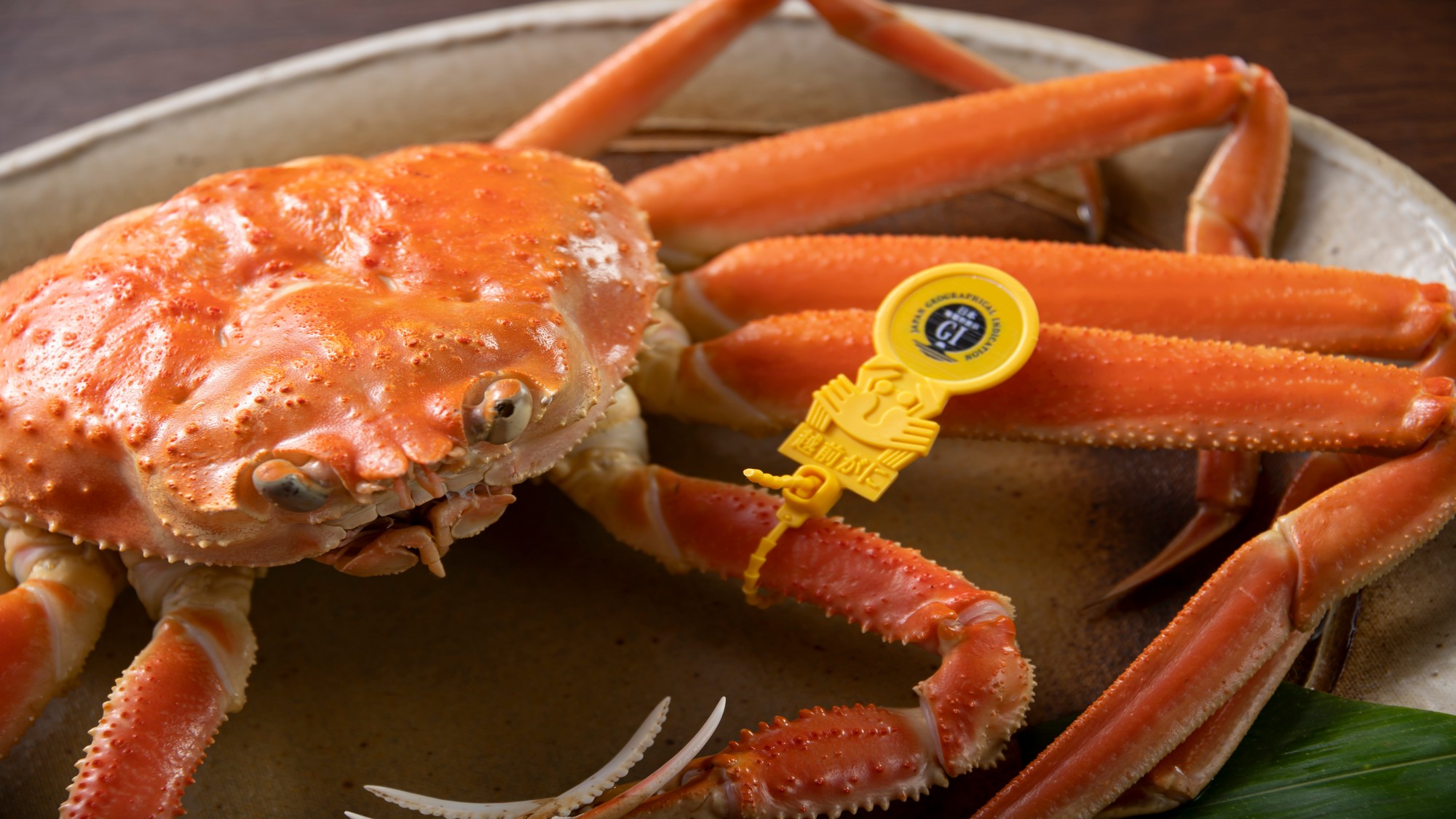 新鮮な越前ガニをご堪能くださいませ！