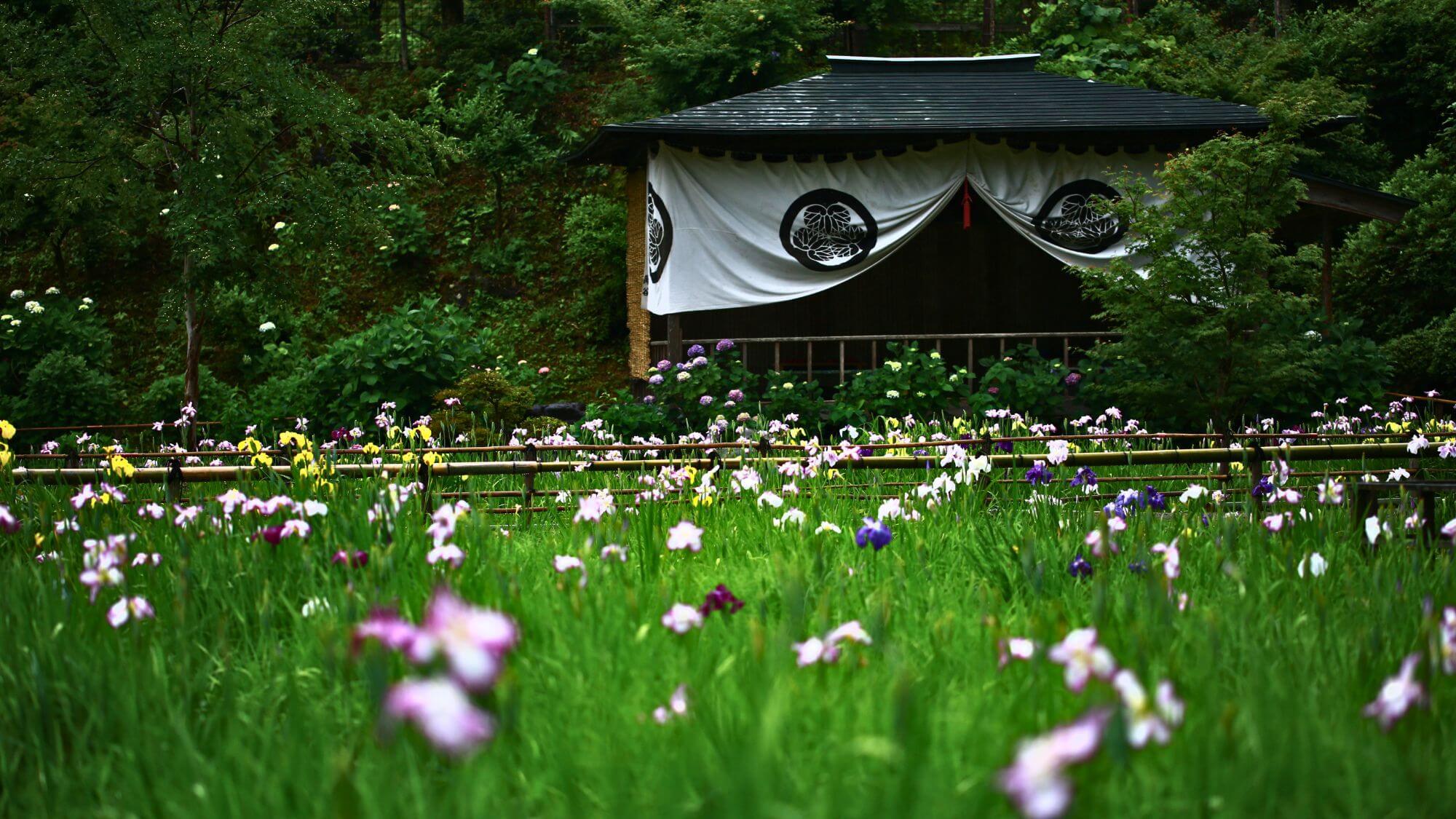【大安禅寺】当館からお車で約25分。初夏の菖蒲が美しい名刹。心と身体を整えるひとときを。