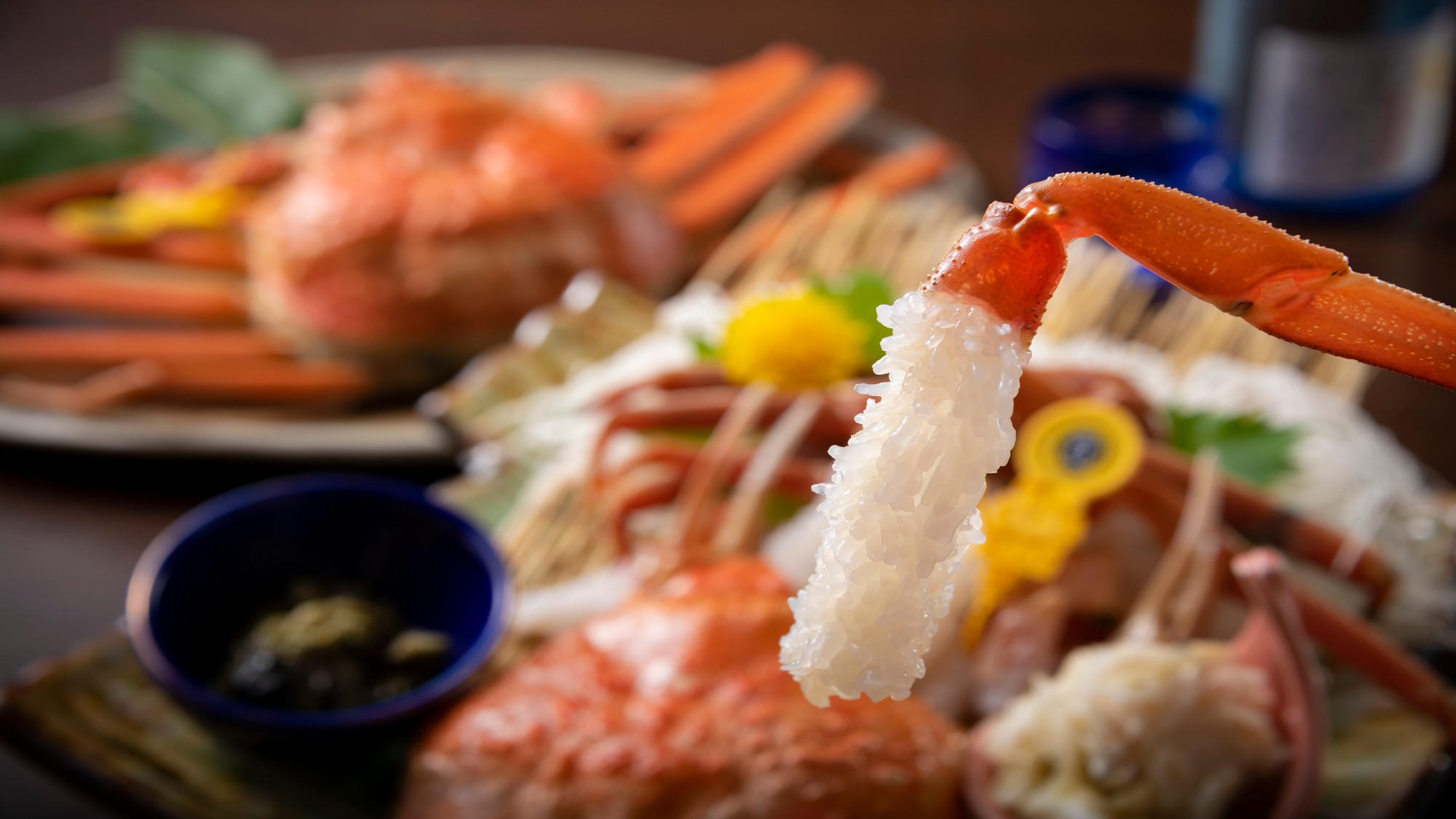 蟹満喫コースメインがゆで蟹か蟹刺しからお選び頂けます！