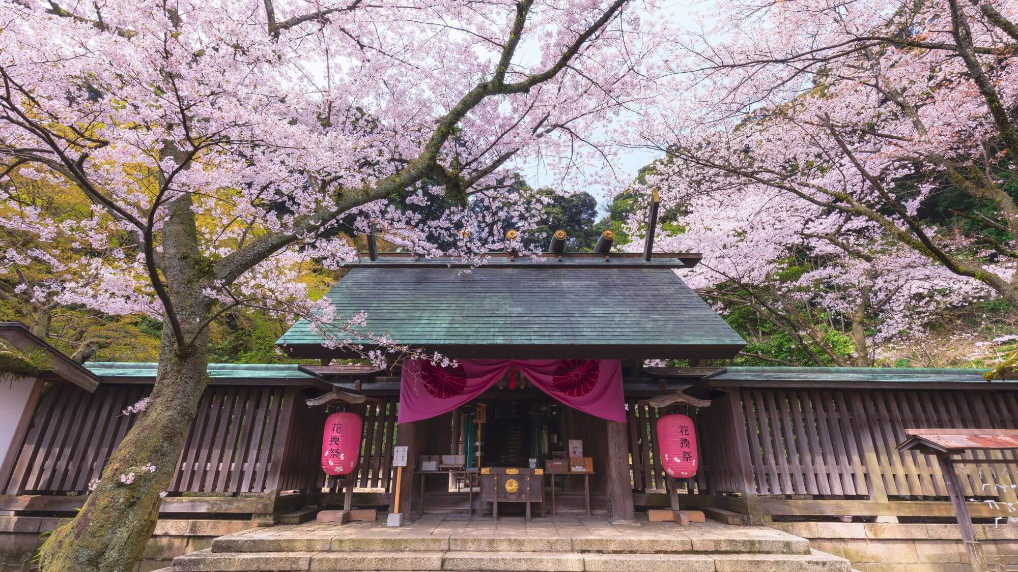 【金崎宮】当館からお車で約1時間半。「恋の宮」として知られ、難関突破の神様としても人気です。