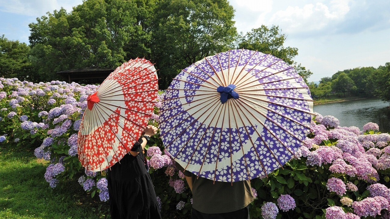 国営讃岐まんのう公園（初夏）和傘レンタル（画像提供：国営讃岐まんのう公園）