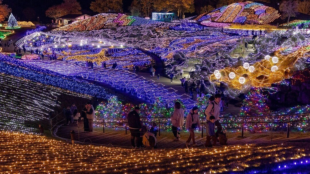 国営讃岐まんのう公園（冬）イルミネーション（画像提供：国営讃岐まんのう公園）