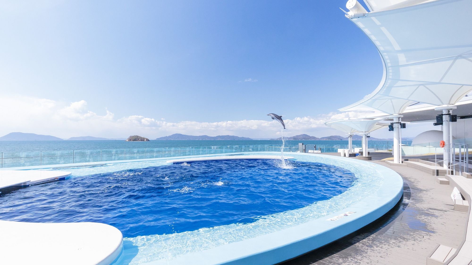 四国水族館 海豚プール（画像提供：四国水族館）