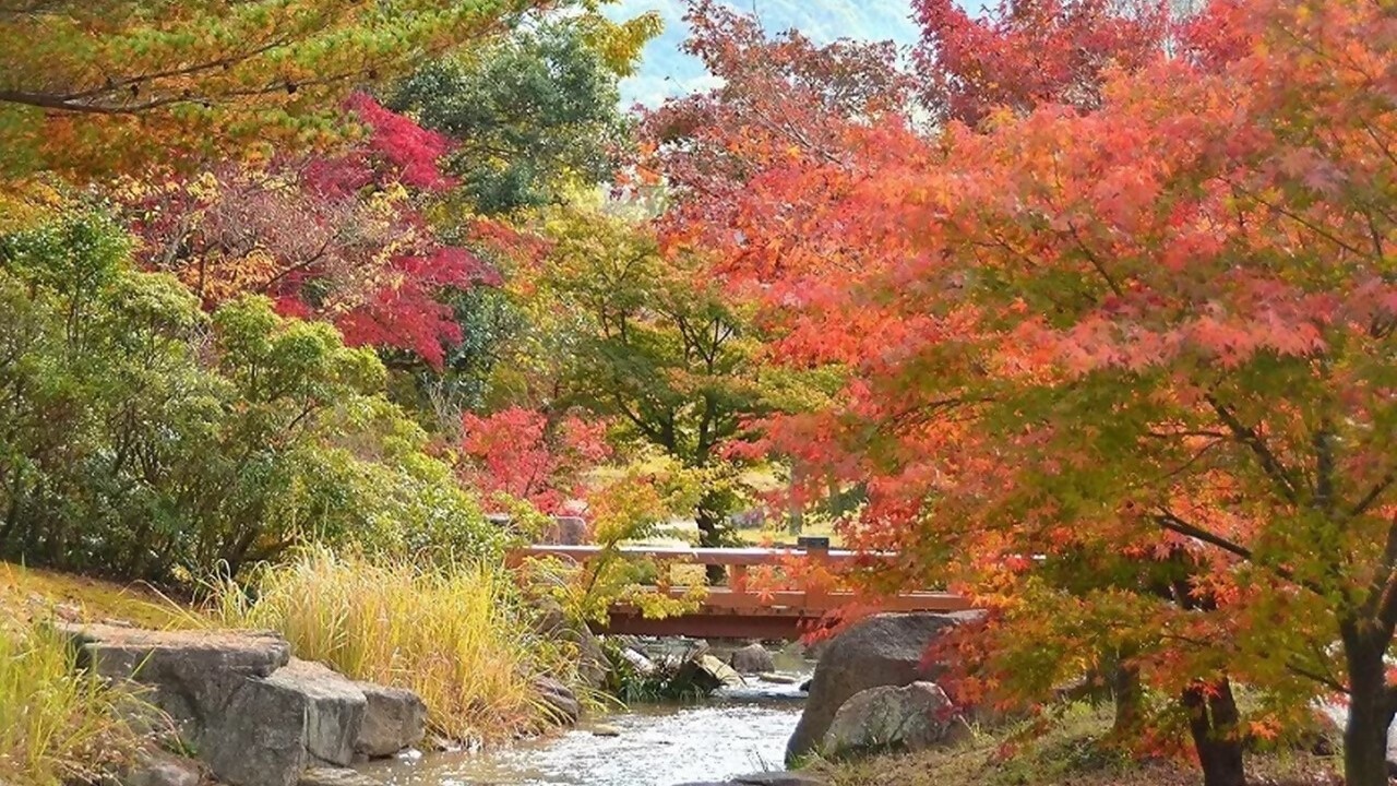 香川用水記念公園（紅葉）