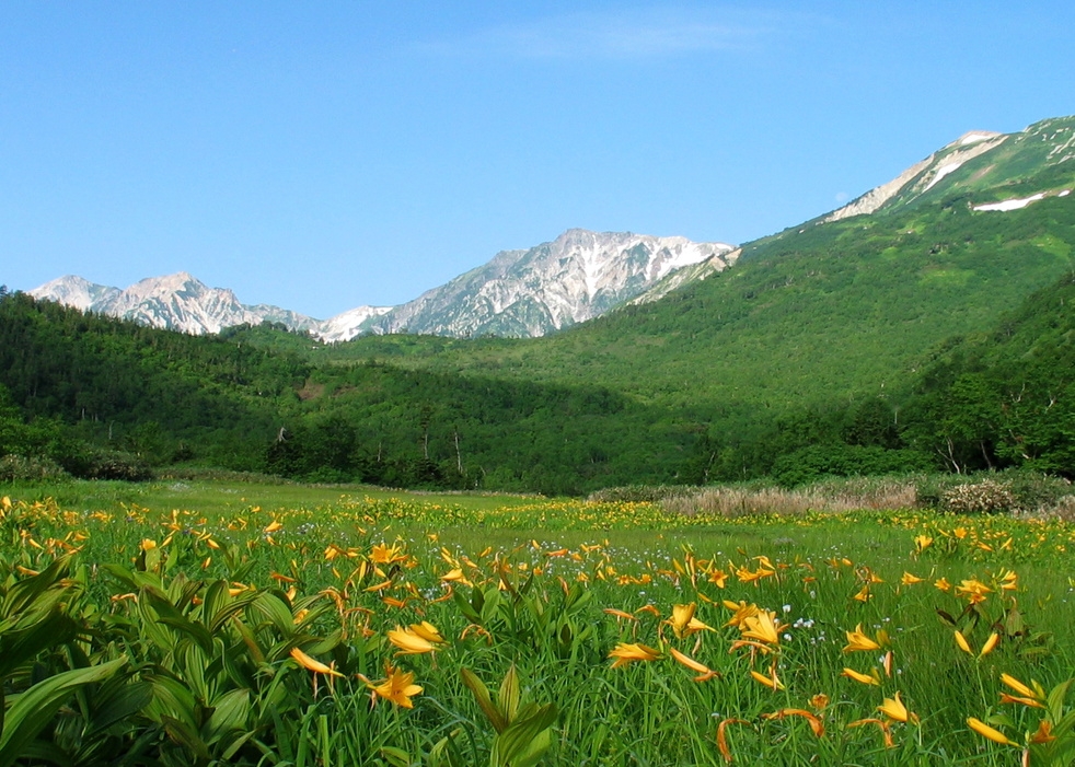 【栂池ゴンドラ徒歩３分】スキー・登山の拠点に便利。素泊まりプラン（４名様１室）