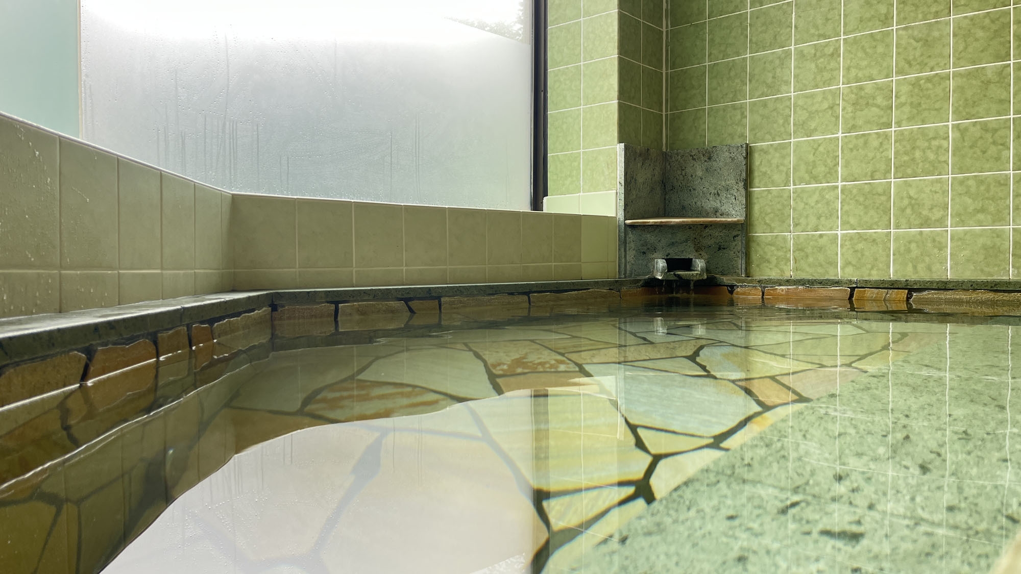 【素泊まり】小型から大型犬以外にもネコちゃんやウサギちゃんなどの小動物と一緒に泊まれます♪