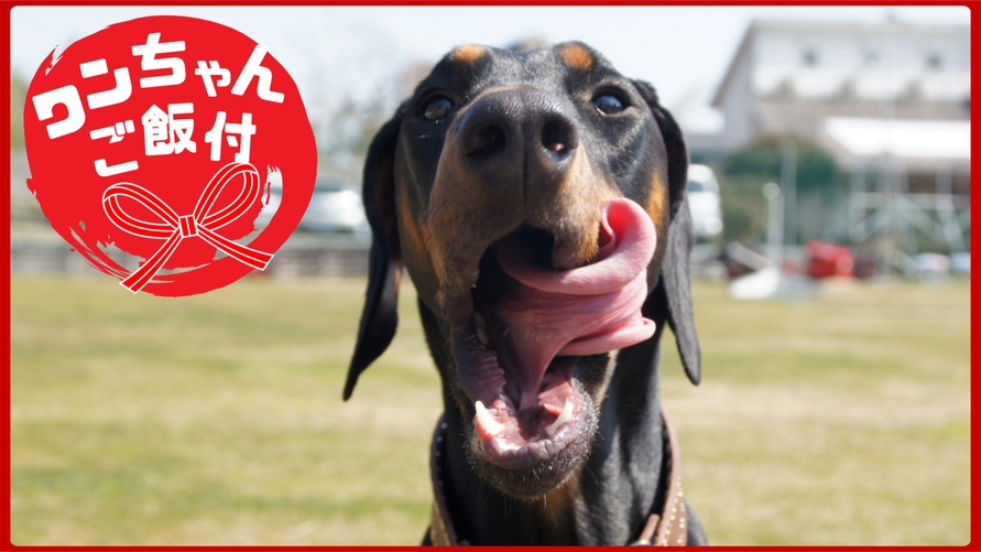 【超大型犬もOK】ワンちゃんご飯付！愛犬と伊豆高原で贅沢なひとときを。