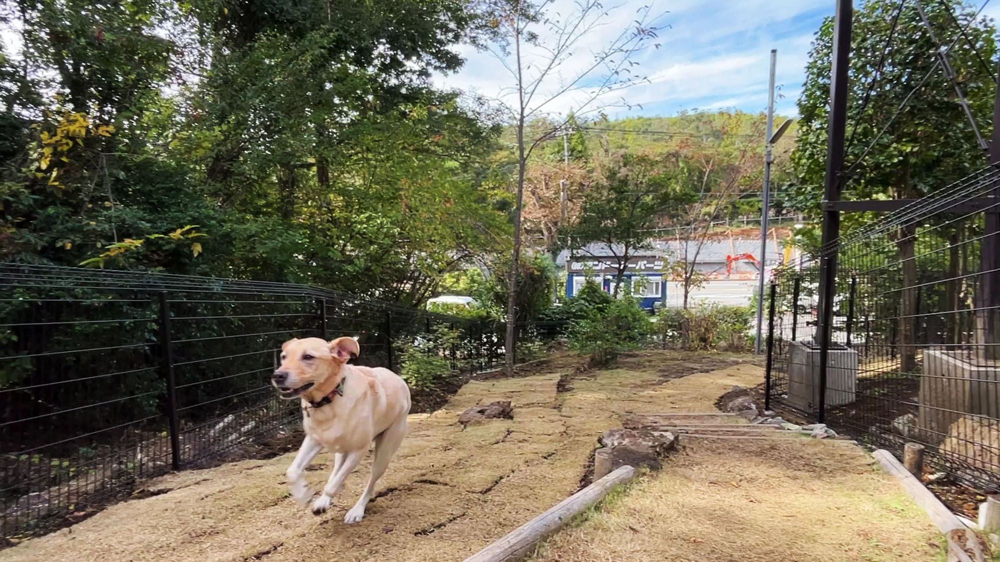 設備◇屋外にワンちゃんのドッグラン完備*