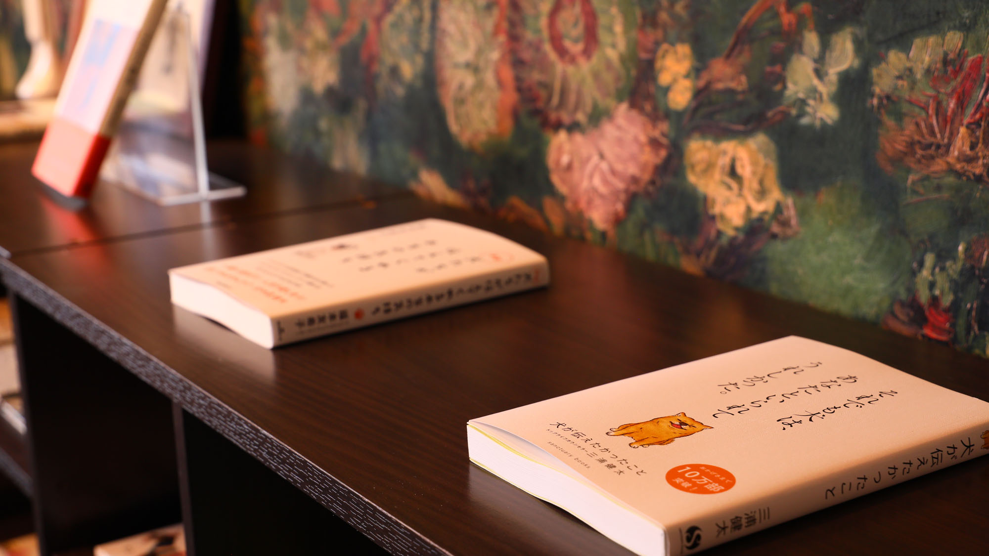 イメージ◇2階のパブリックスペースにはわんちゃんの本が置いてあります*