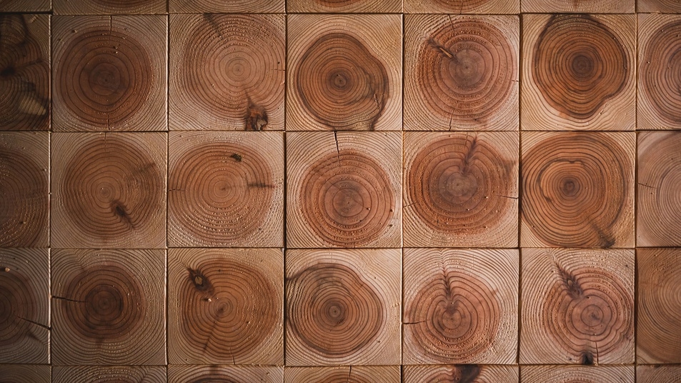 【オープン記念20％オフ／素泊まり】一棟貸し×趣味時間　一日一組限定の隠れ家＜モニタープラン＞