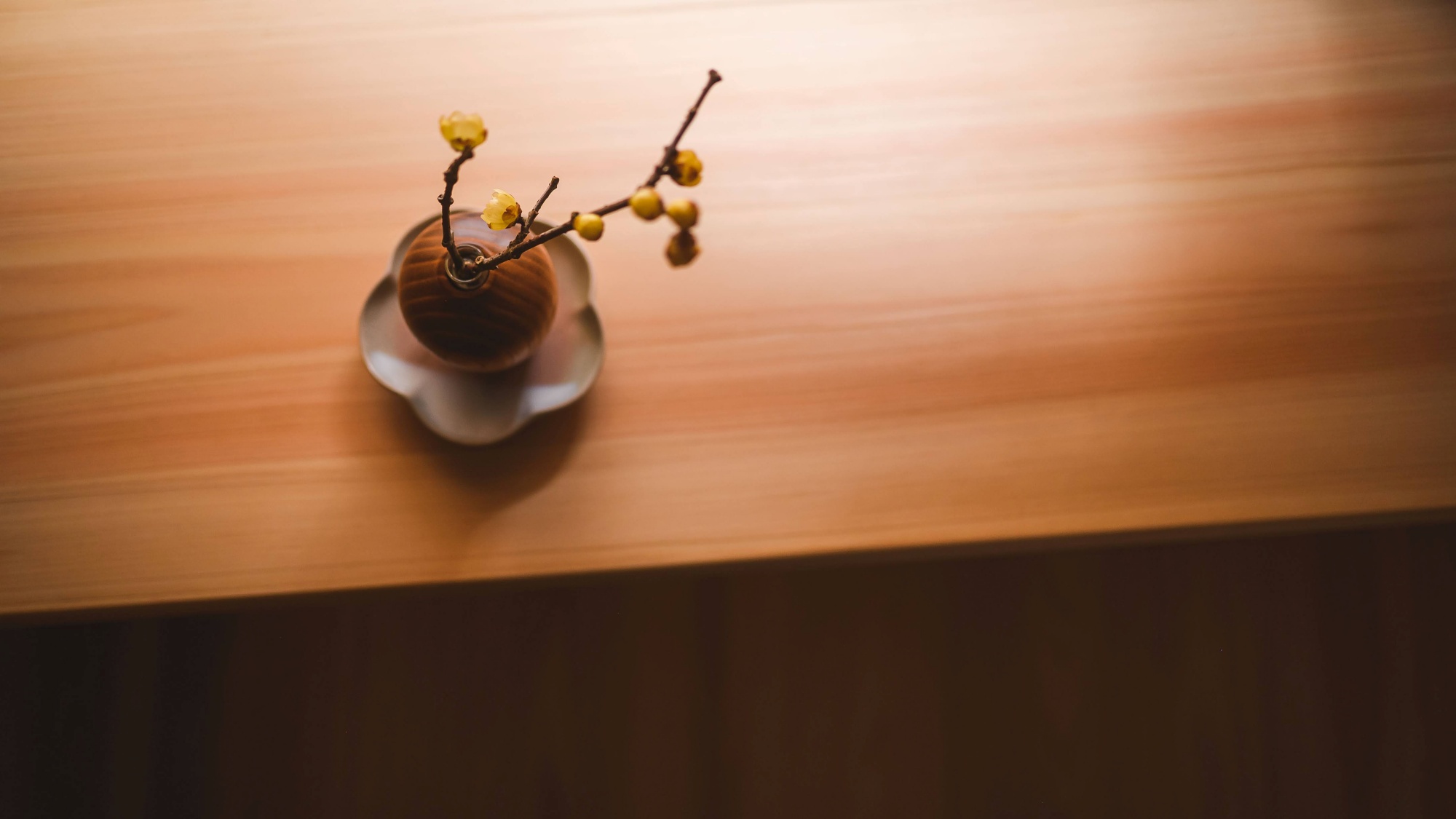 *【設え】何気ない一輪が、滞在を特別な記憶に変えてくれます。