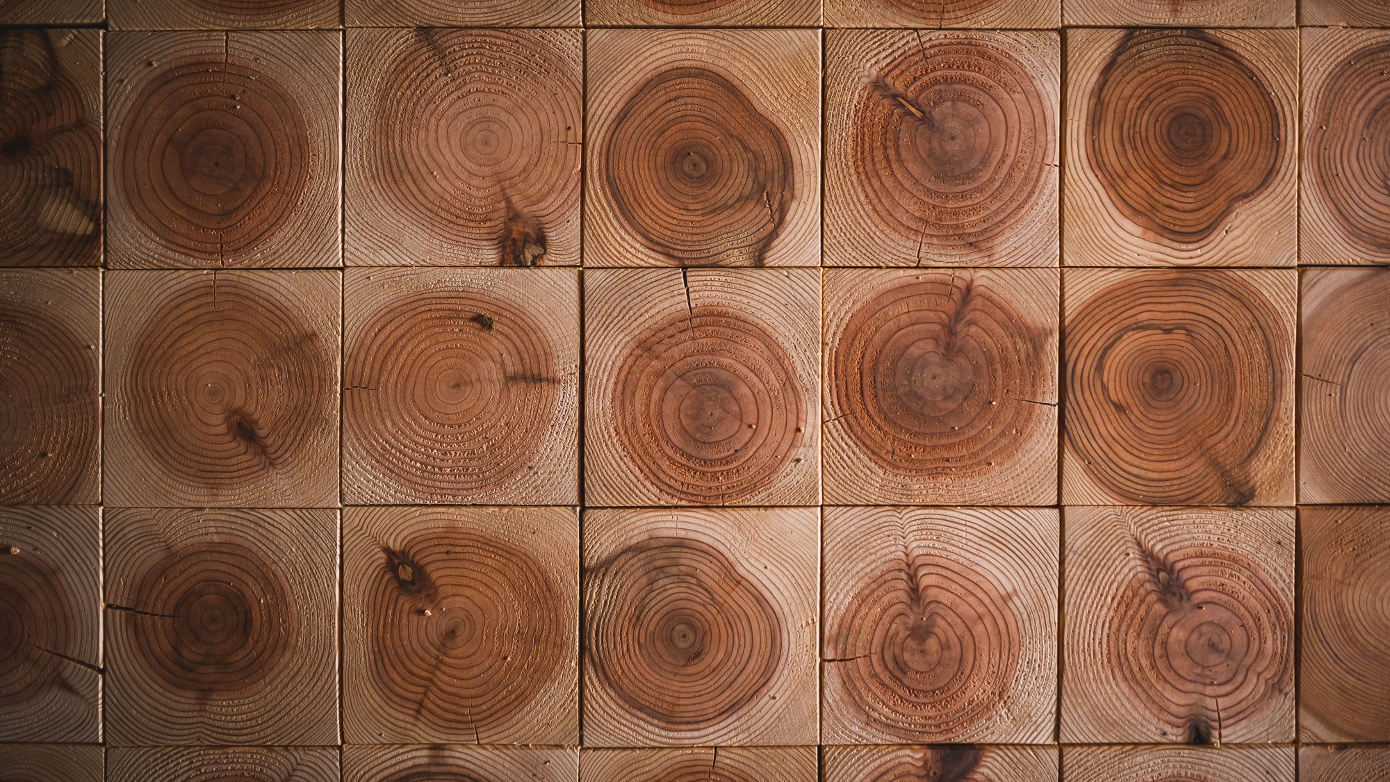 *【木意匠】年輪が語る自然の美しさを、空間のアクセントに。