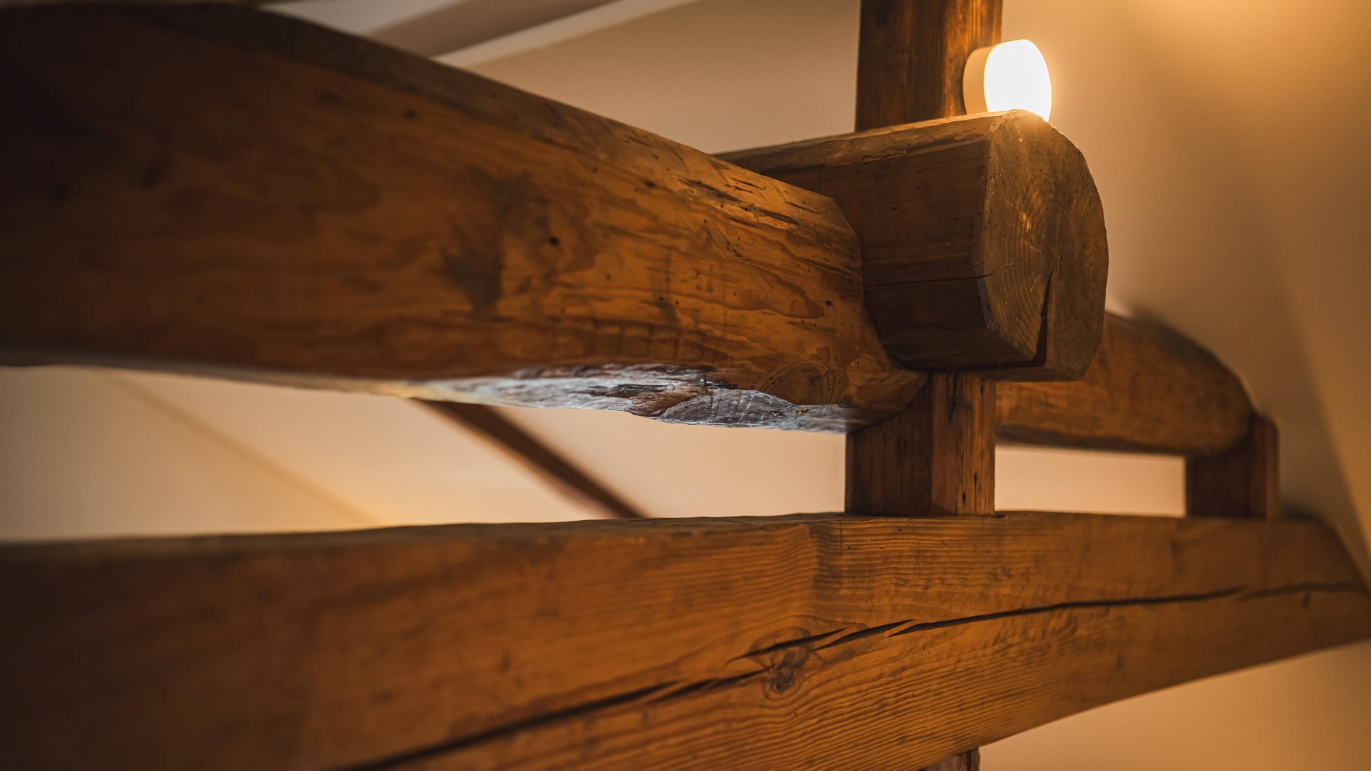 *【館内】和の趣と力強さを感じる天井の意匠。