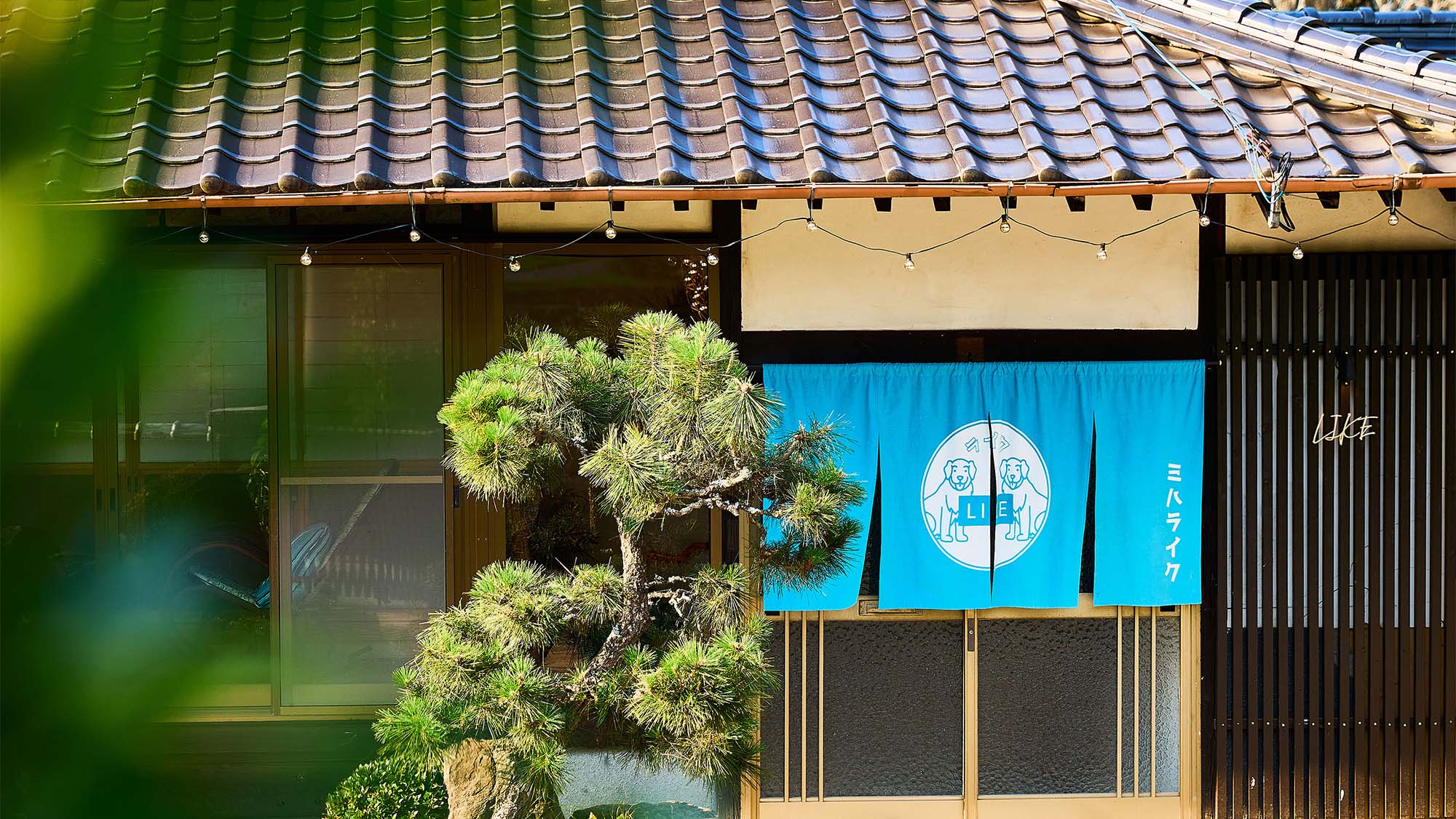 ・【外観】かわいいワンちゃんの暖簾をくぐり、中へお入りください