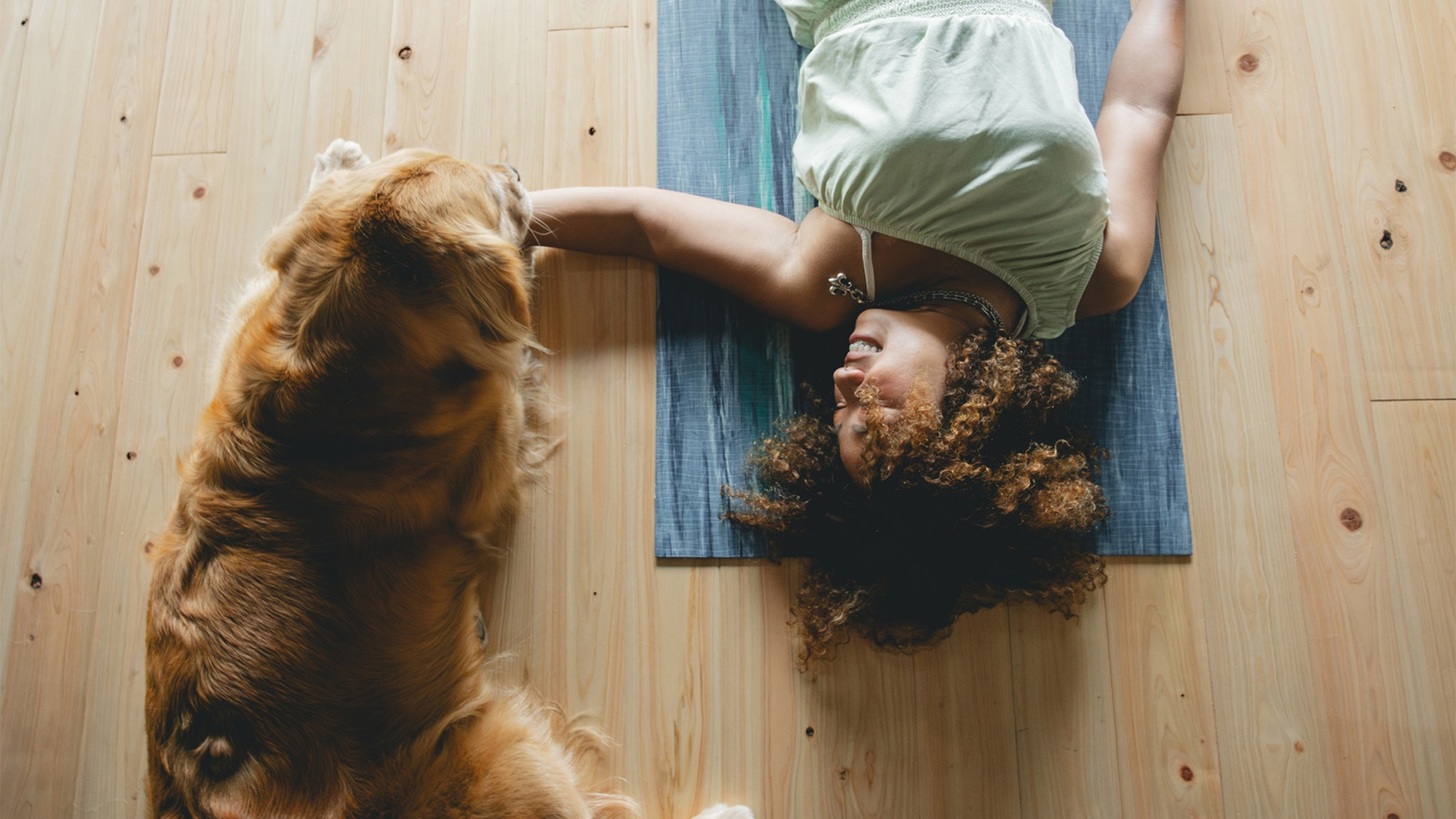 ・【ペット】日々の疲れを癒し、愛犬と一緒にのびのびとおくつろぎください