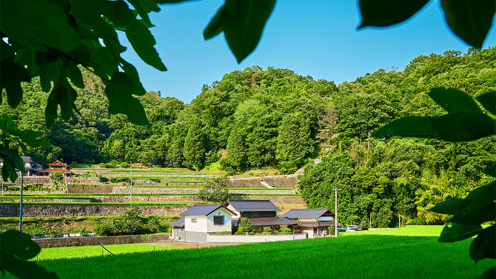 ・【景色】都会の喧騒を忘れ、穏やかな時間をお過ごしください