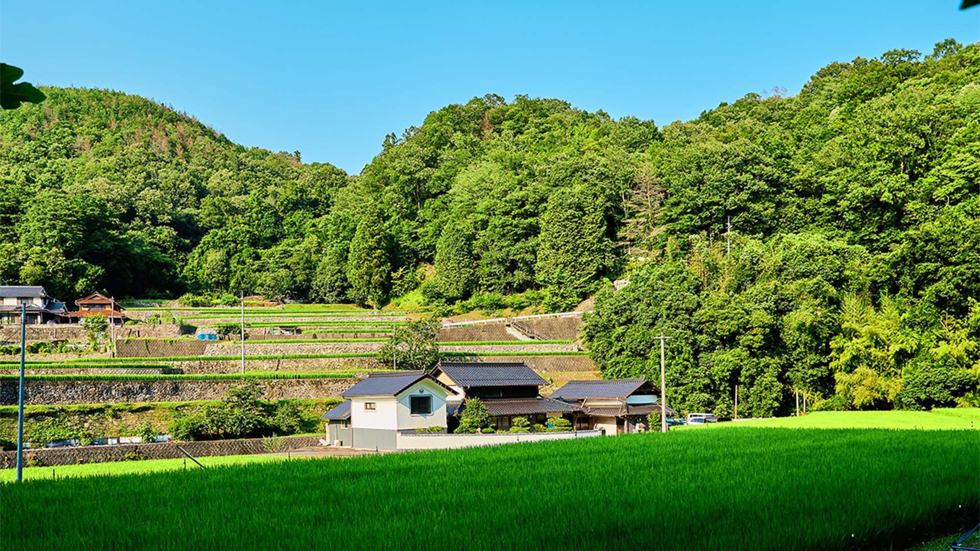 ・【景色】自然に囲まれたロケーション。客室からは川を眺めることができます