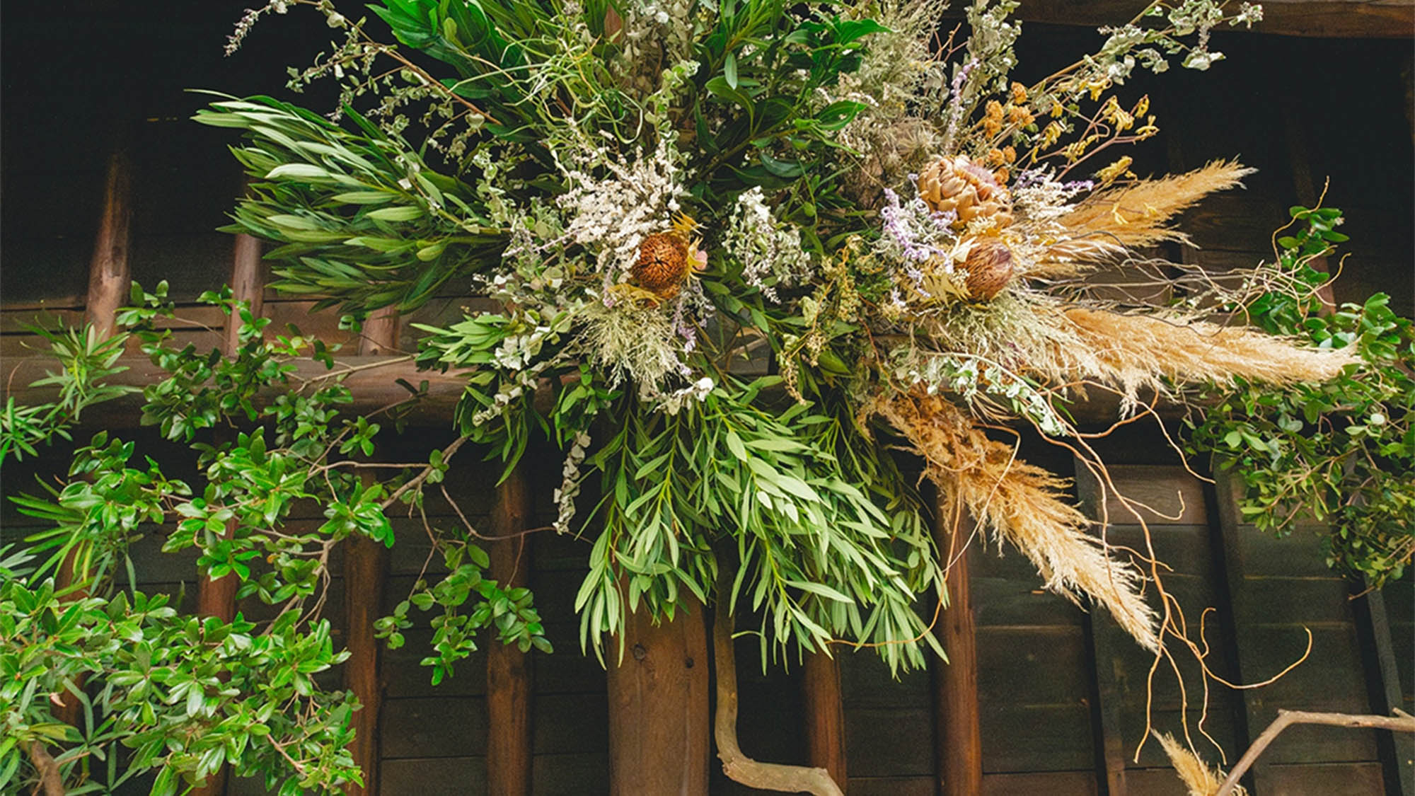 ・【植物】目に優しいグリーンが、日々の疲れをそっと癒してくれます