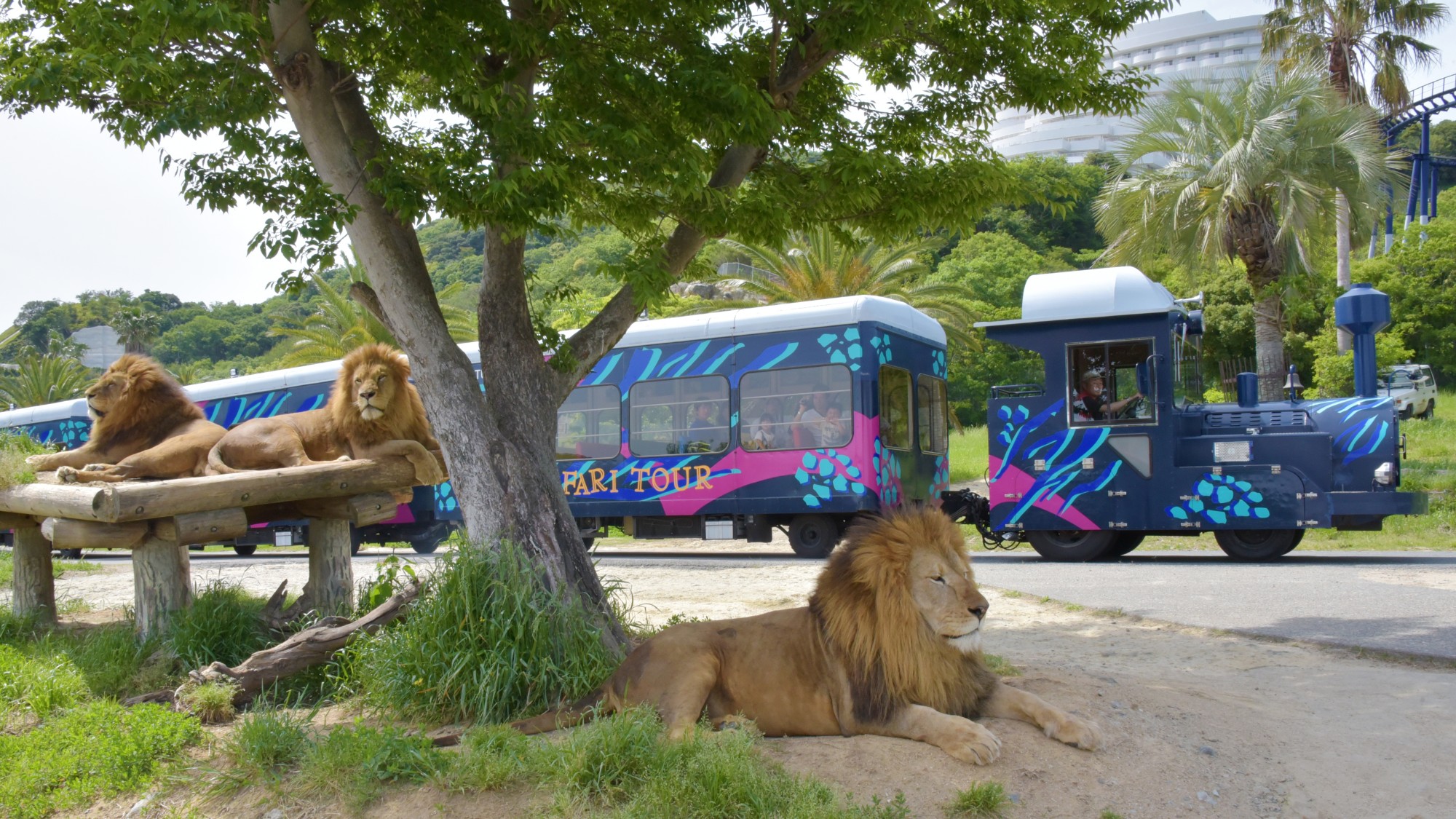 アドベンチャーワールド（当館からお車で約15分）