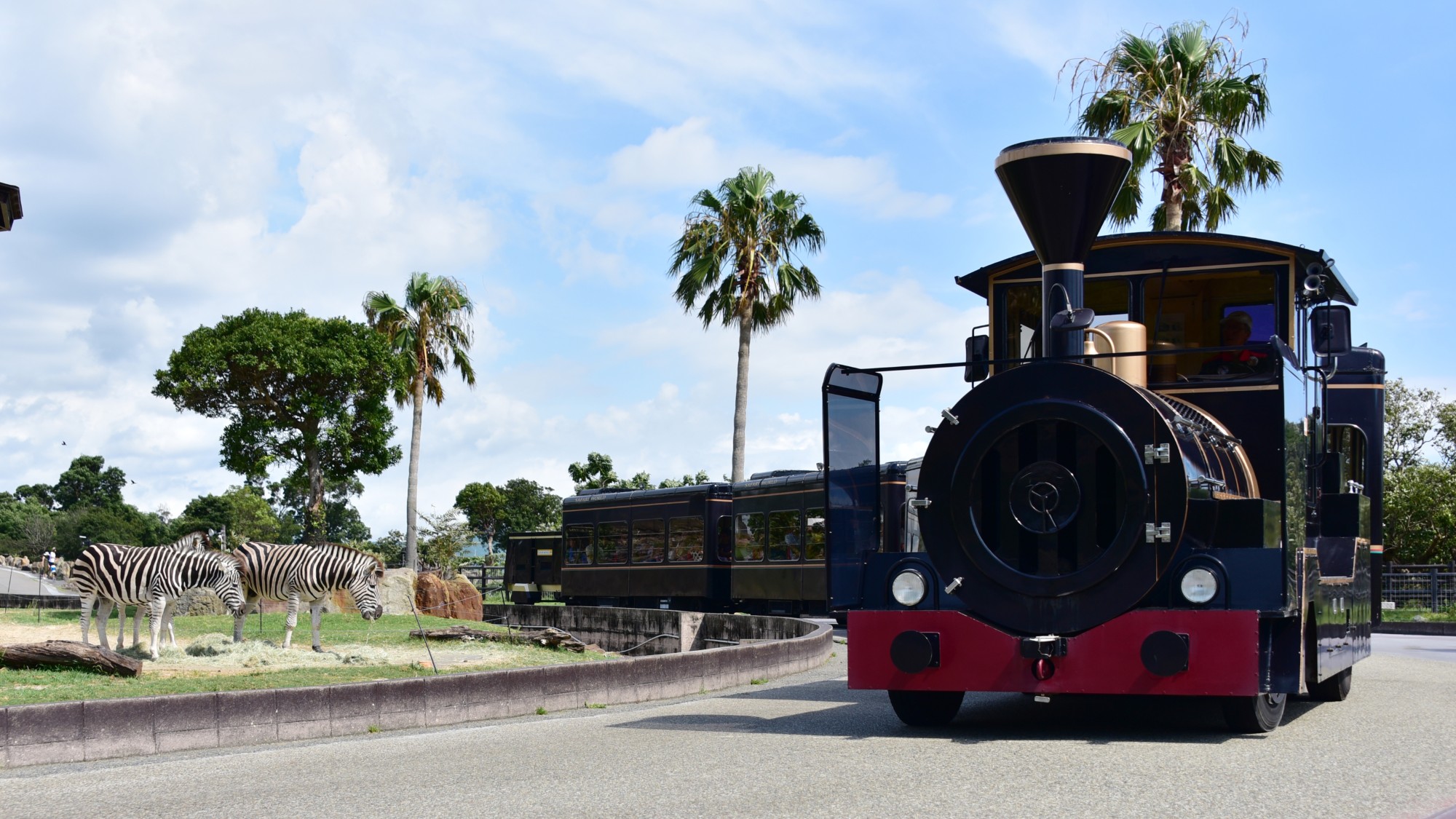 アドベンチャーワールド（当館からお車で約15分）