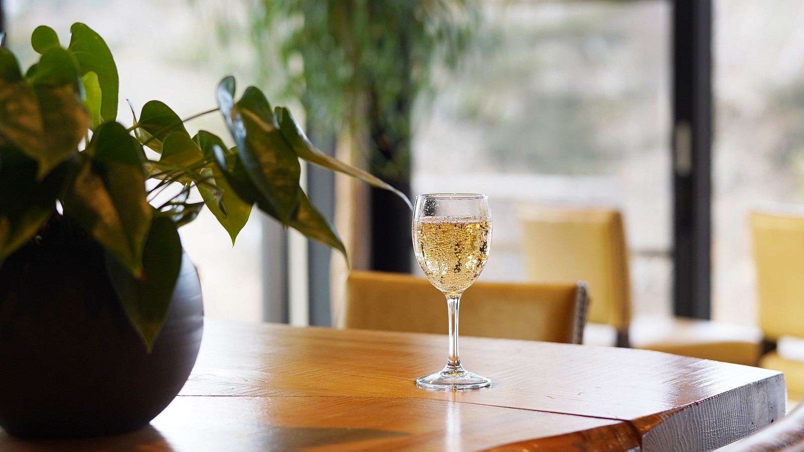 落ち着いた空間でお好きなドリンクをお楽しみください