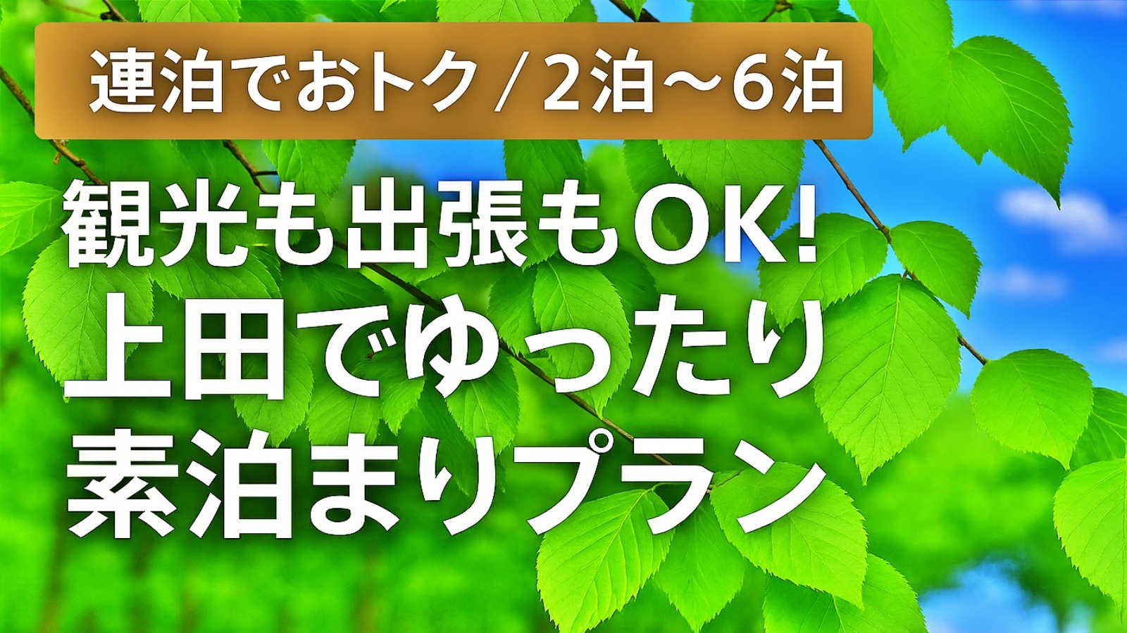 【連泊でおトク／2泊〜6泊】観光も出張もOK！上田でゆったり素泊まりプラン