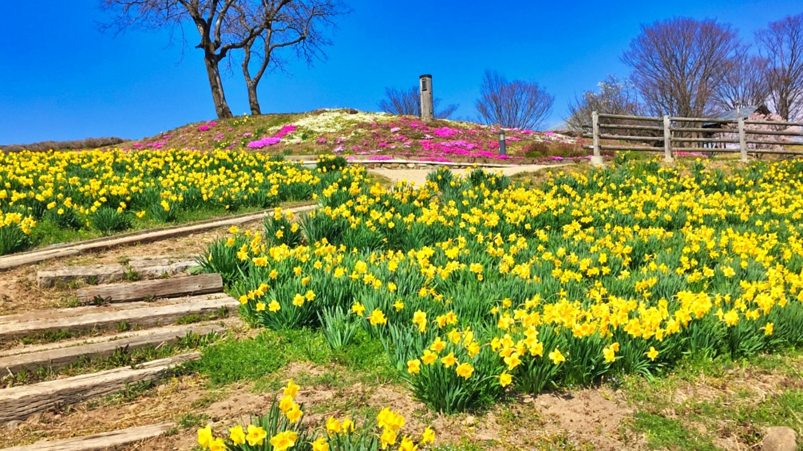【周辺】信州国際音楽村