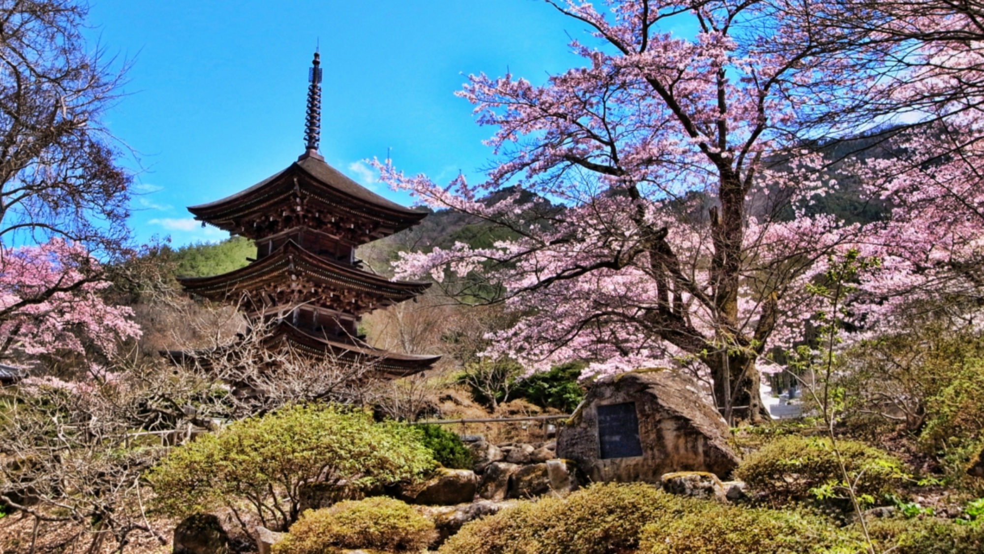 【周辺】前山寺／三重塔