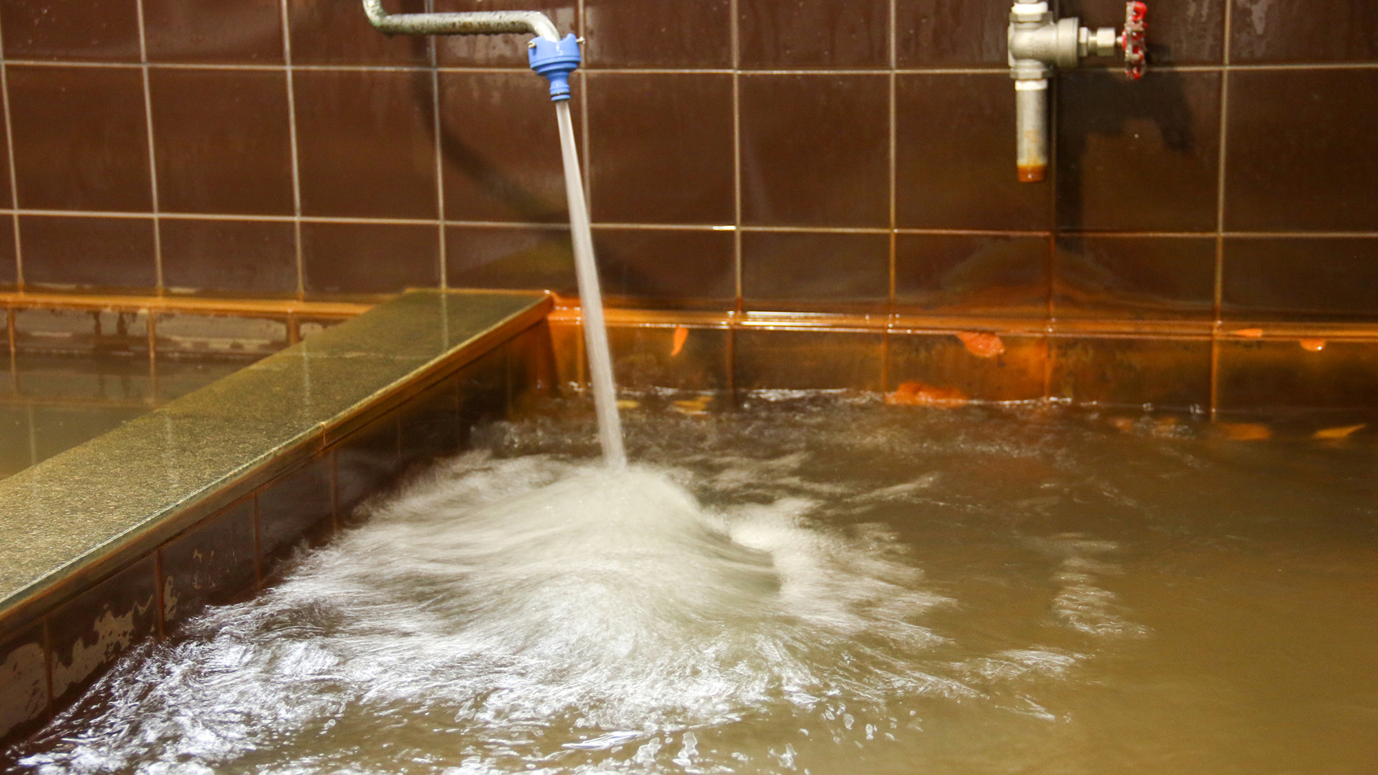 #ぐだり温泉　温泉は源泉かけ流し、気候やお好みに合わせて好きな温度の温泉をお楽しみ下さい