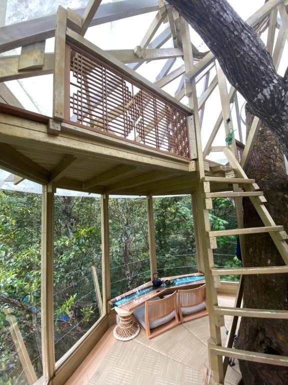 黄金トロフィーツリーハウス＋エアロハウス2号セット