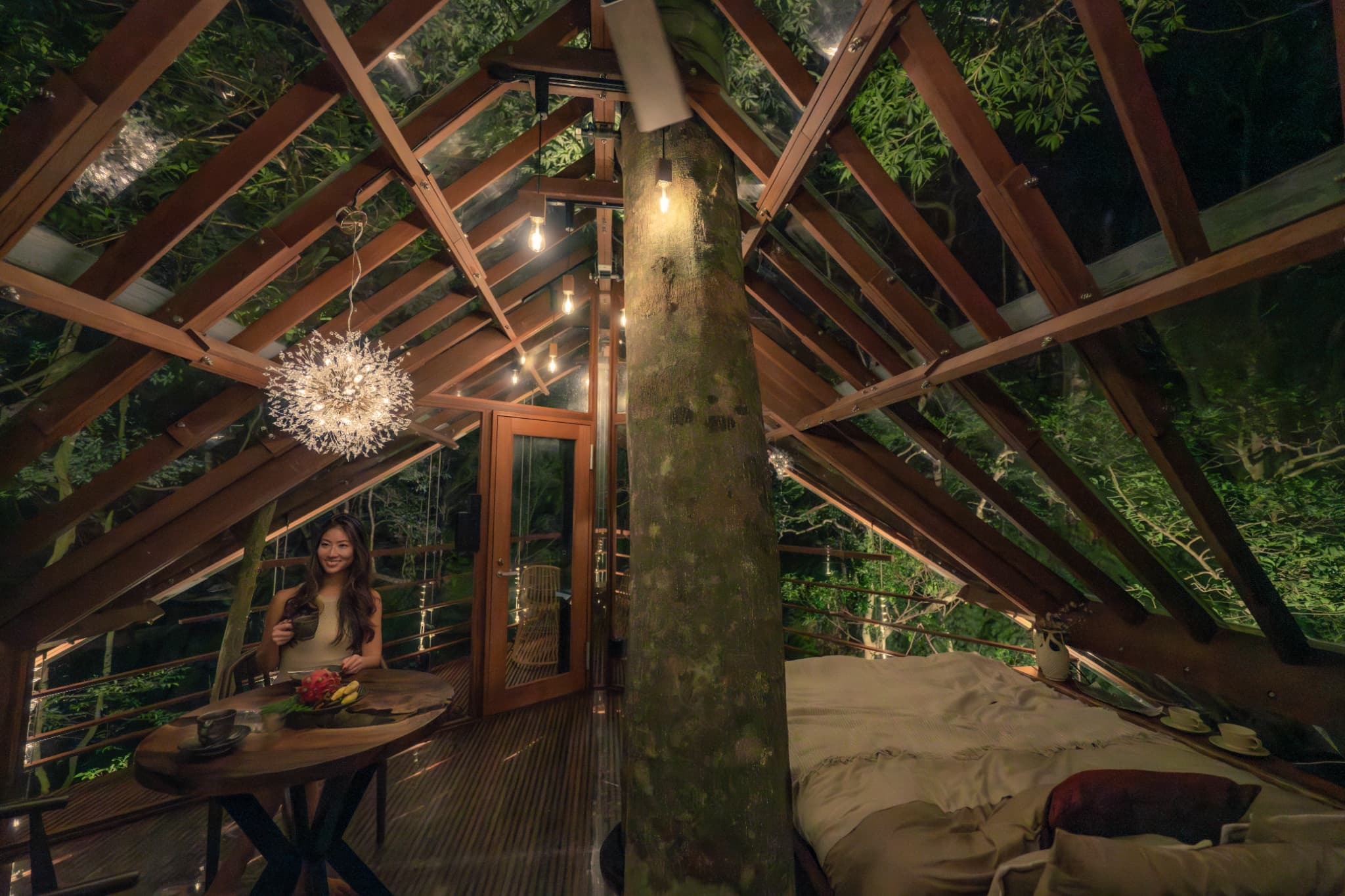 ハルシオンツリーハウス＋エアロハウス3号セット