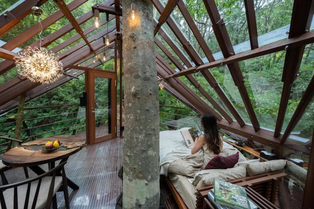 ハルシオンツリーハウス＋エアロハウス3号セット