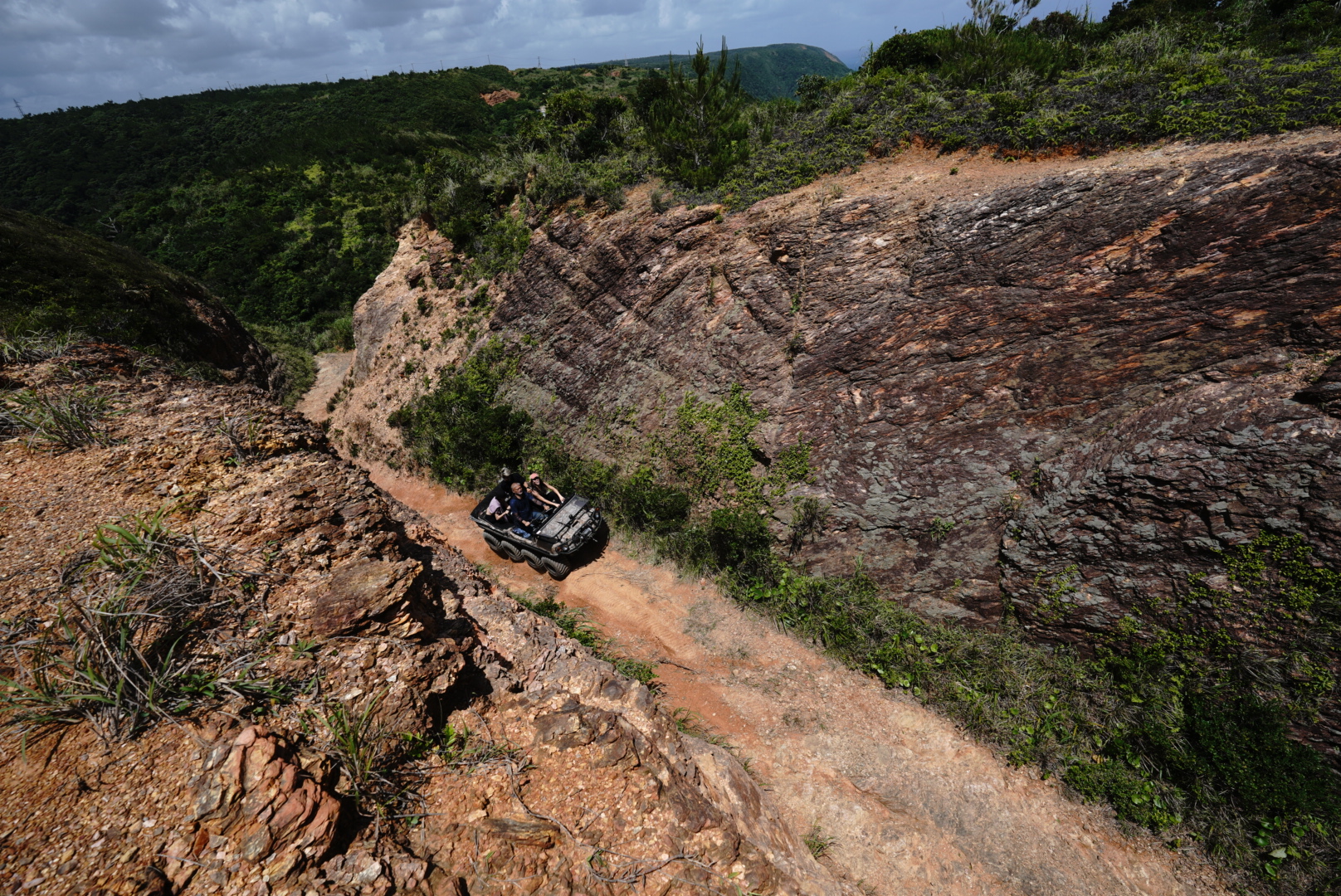 やんばる絶景ツアー