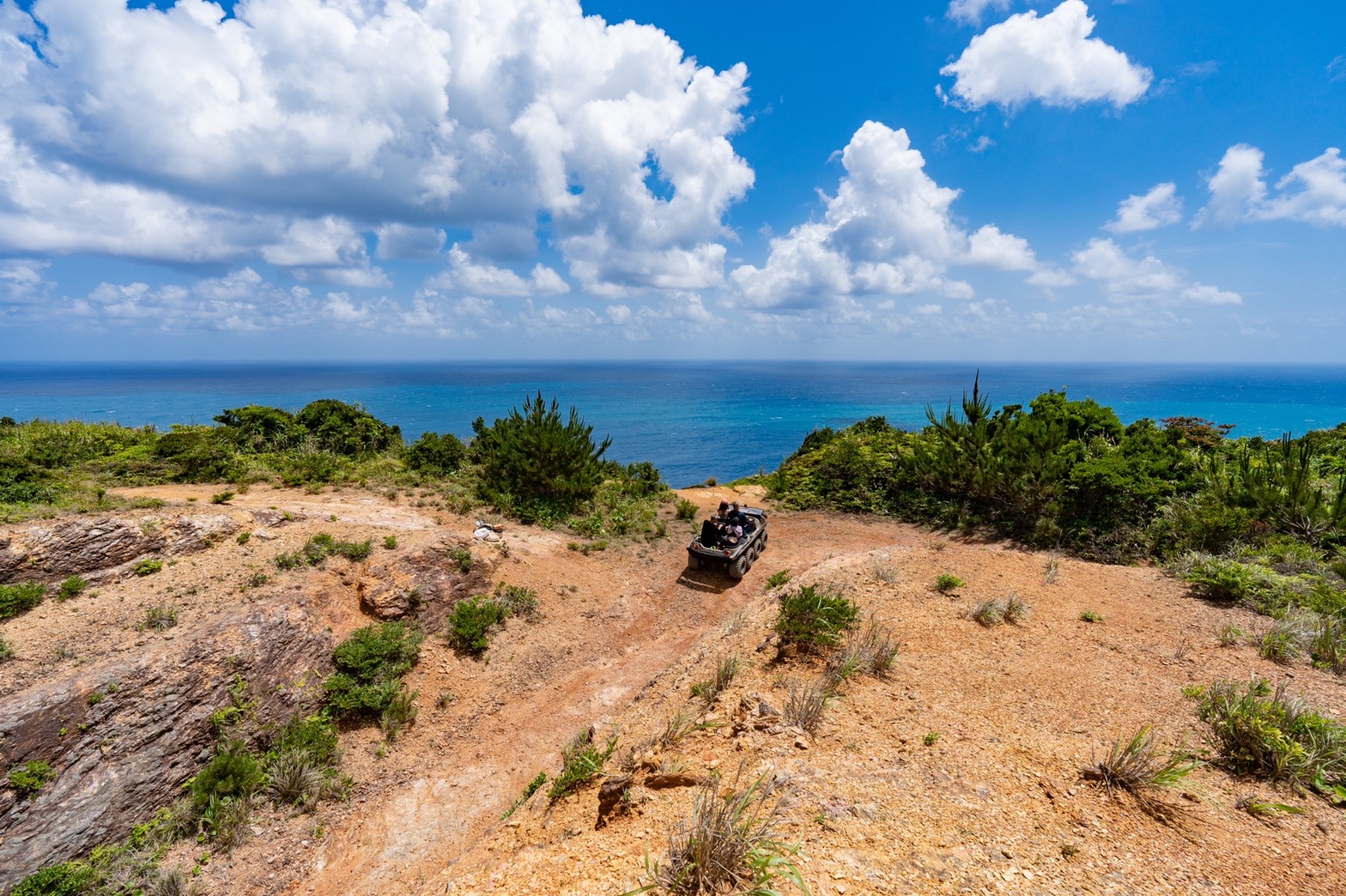 やんばる絶景ツアー