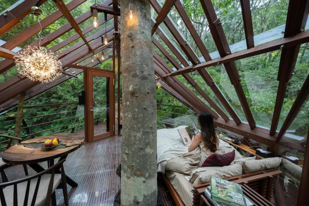 ハルシオン室内